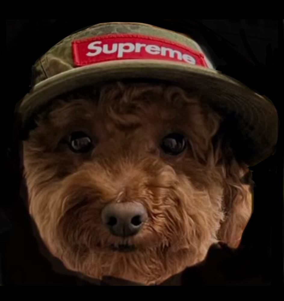 KREAM 프로필 이미지