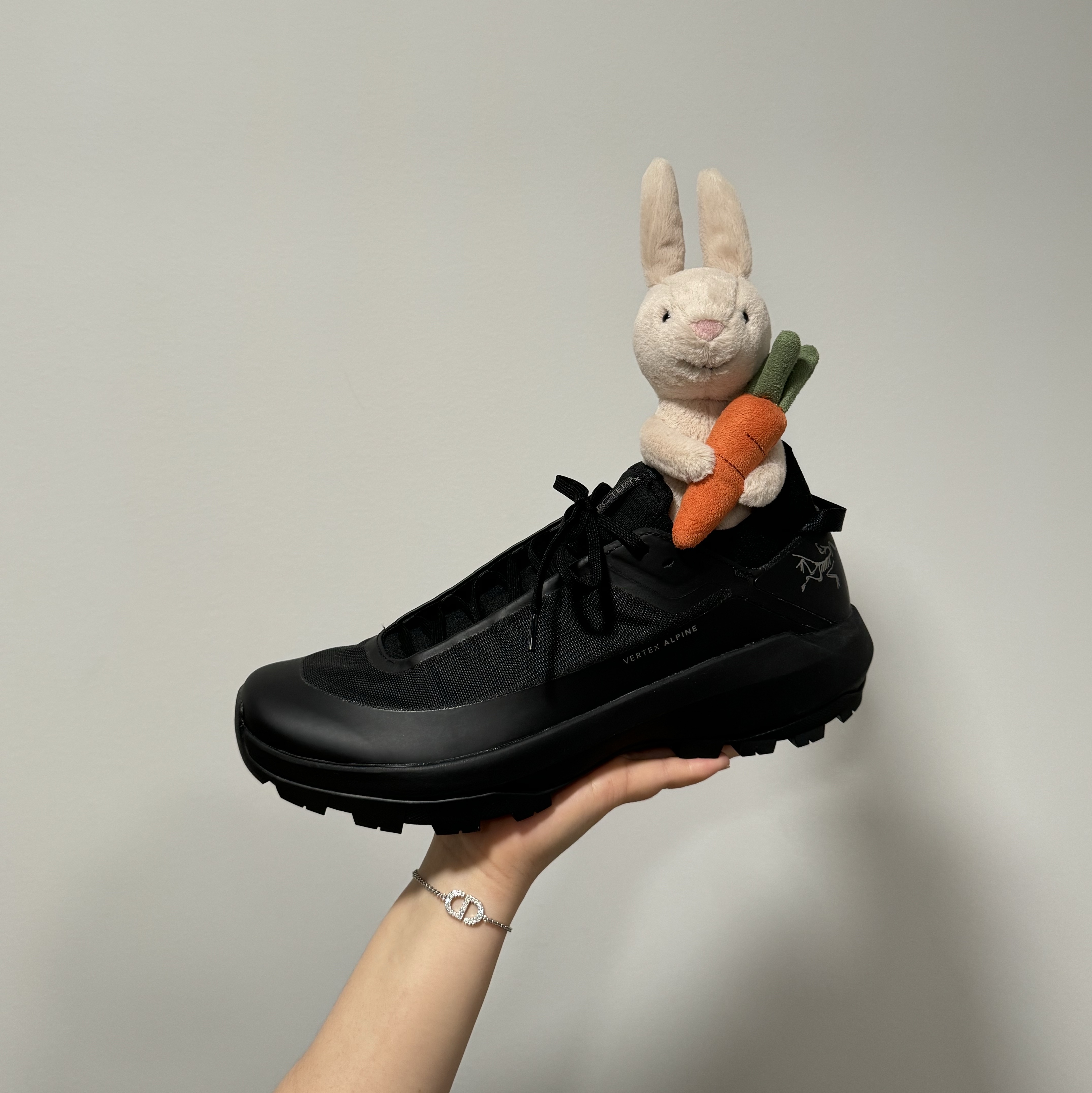 Arc'teryx Vertex Alpine Black 착용 스타일