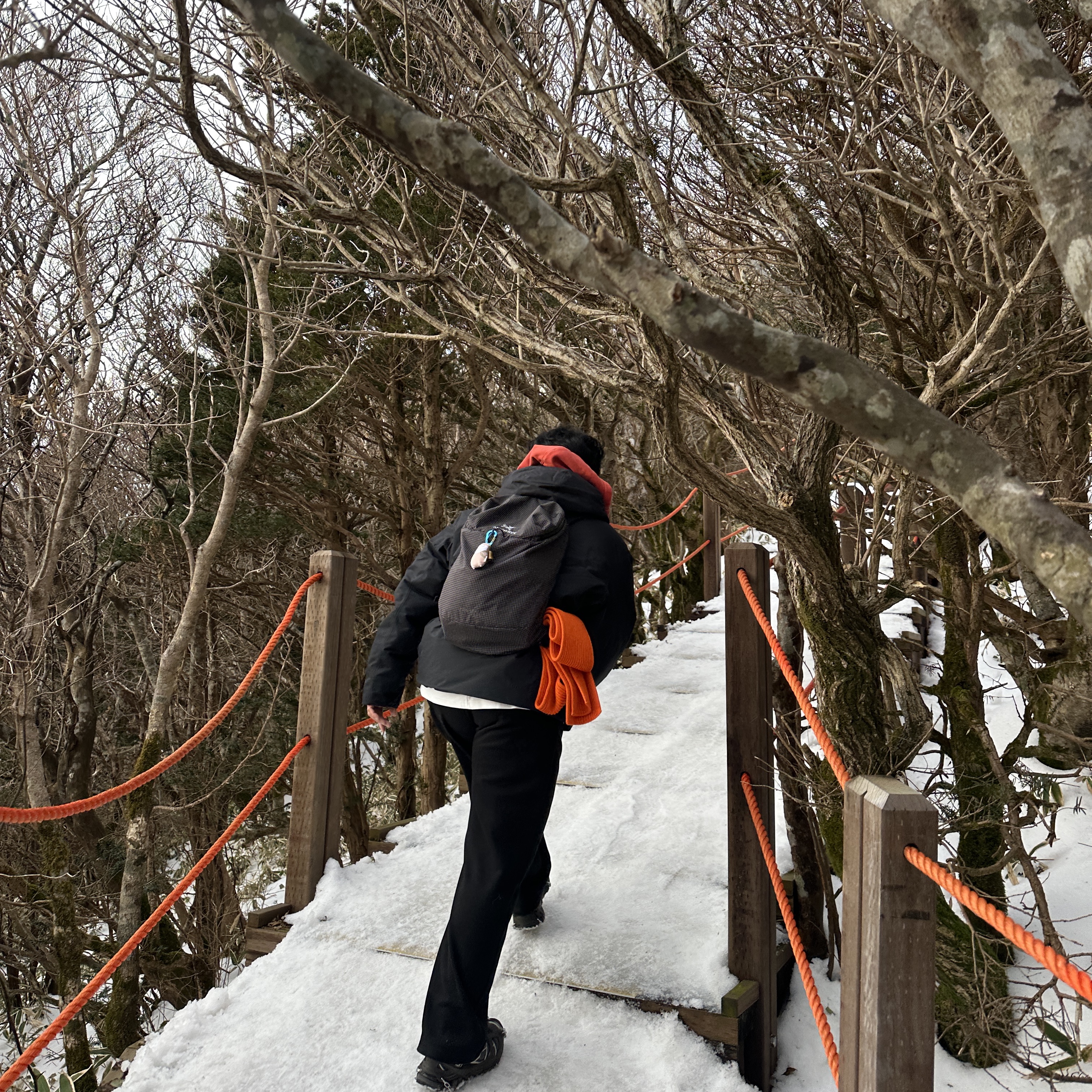 Salomon XT-6 Gore-Tex Black Ebony, Arc'teryx Konseal 15 Backpack Black 착용 스타일 - 1