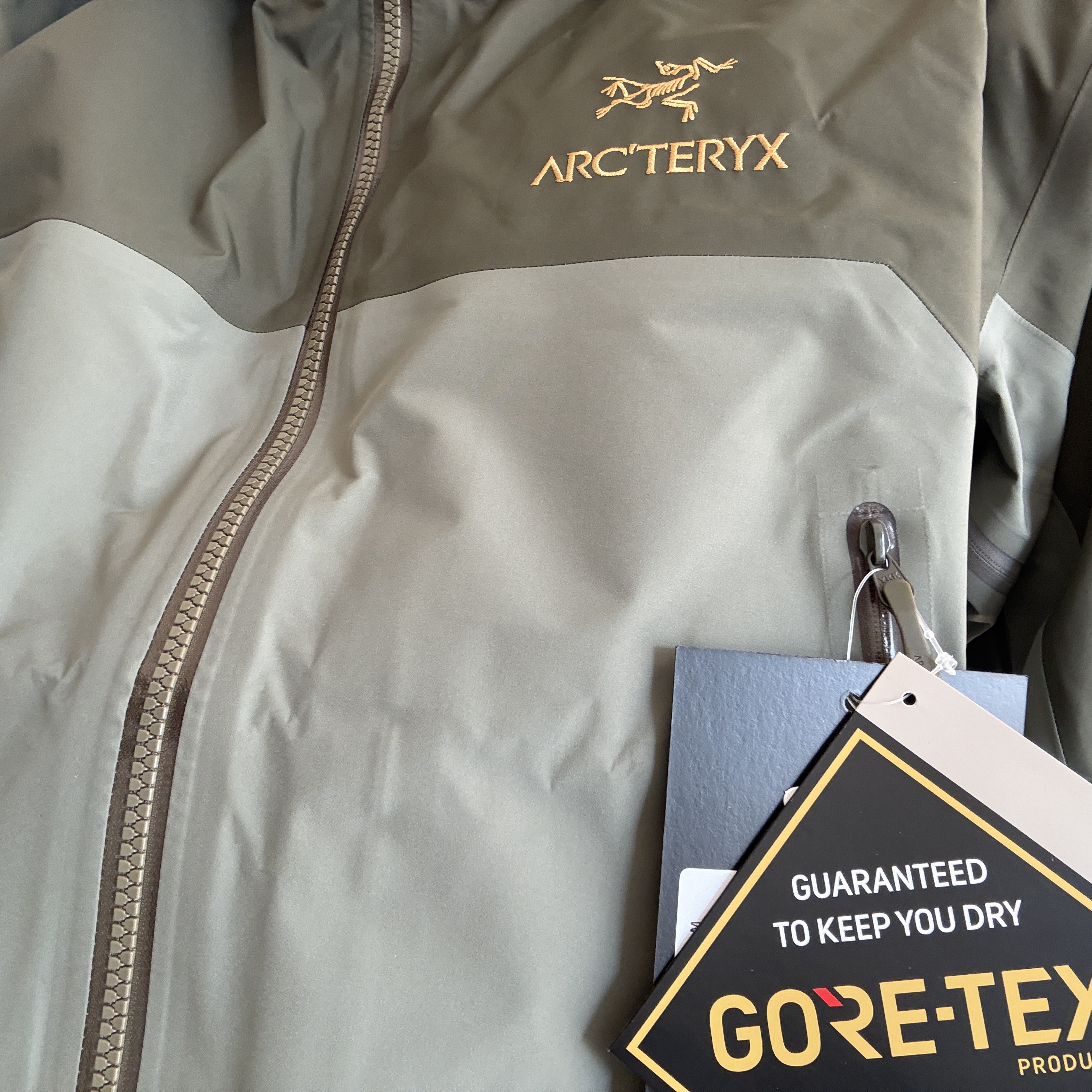 Arc'teryx Beta AR Jacket Forage Tatsu 착용 스타일 - 2