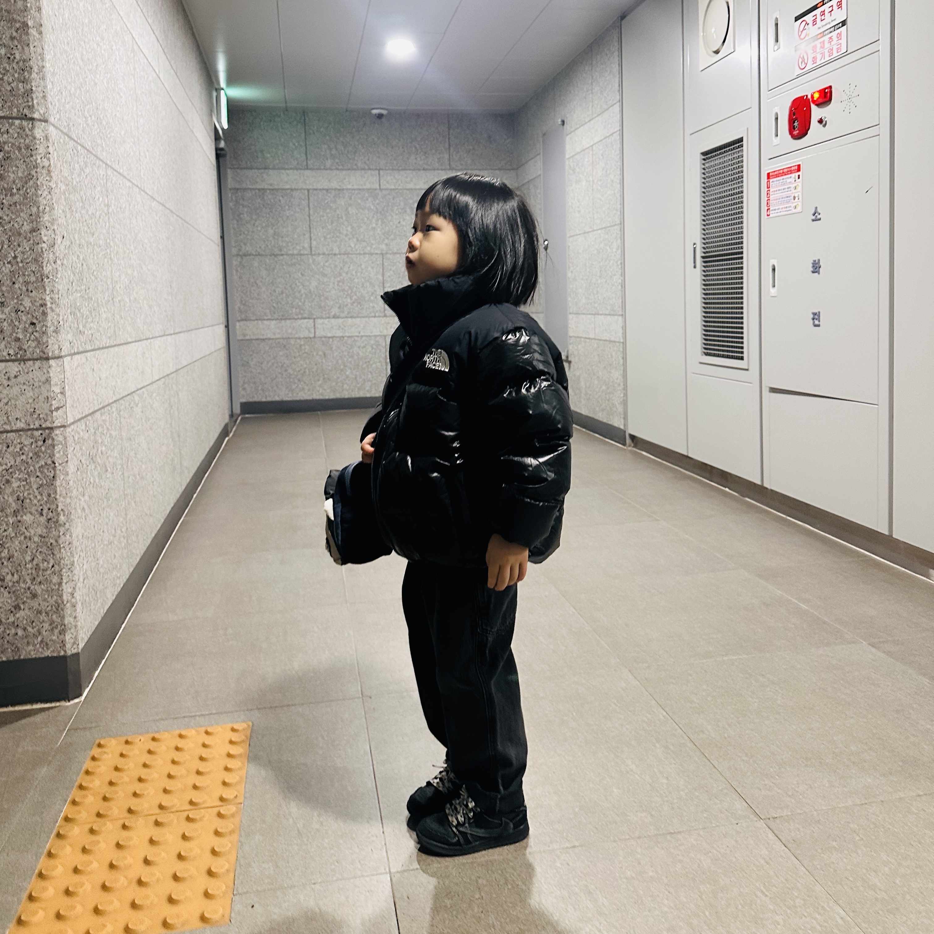 (Kids) The North Face 1996 Eco Nuptse Down Jacket Real Black, (TD) Jordan 1 x Travis Scott Retro Low OG SP Black Phantom 착용 스타일