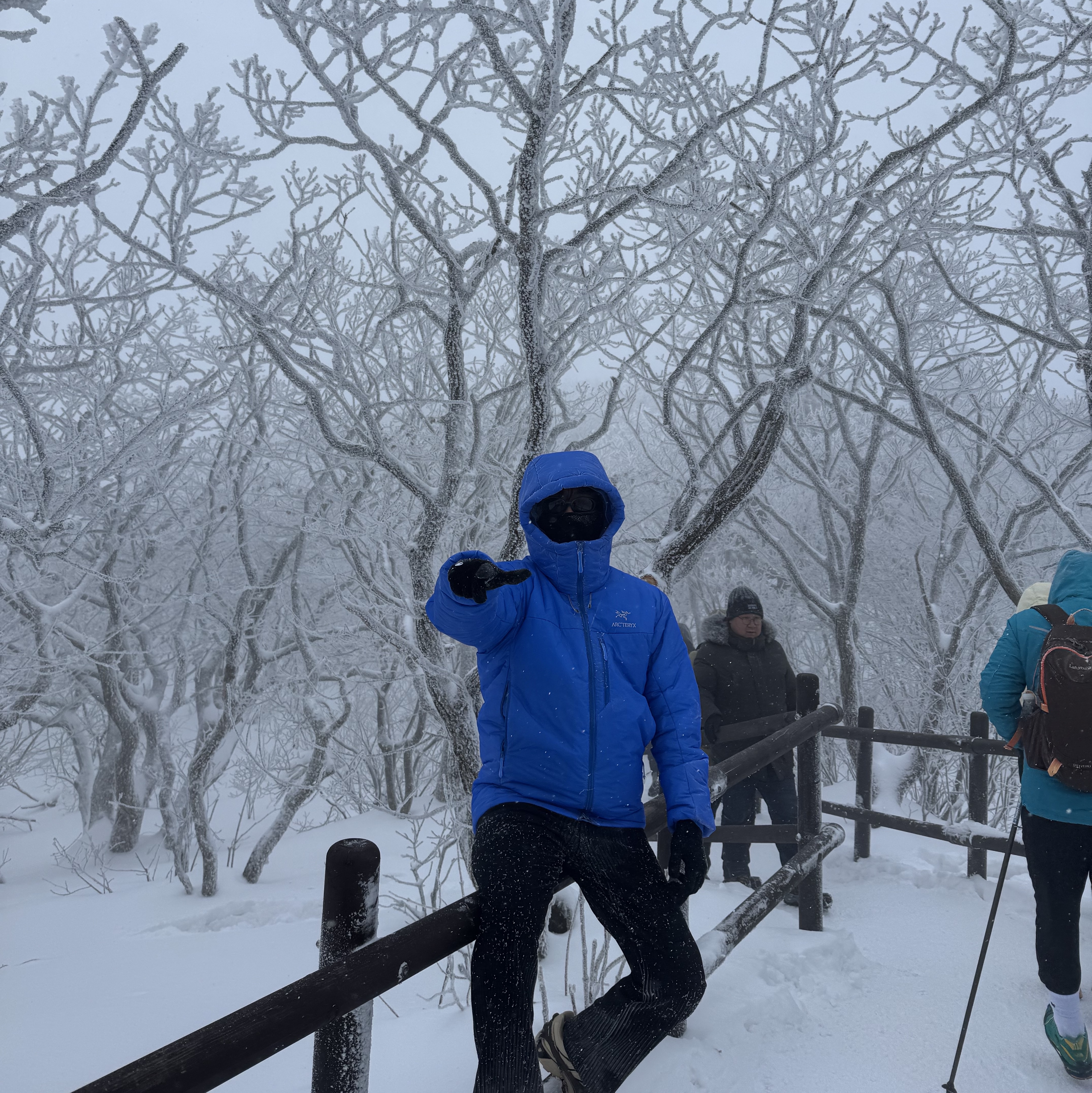 Arc'teryx Nuclei SV Parka  LT Vitality, Salomon XT-6 GTX Safari Black 착용 스타일