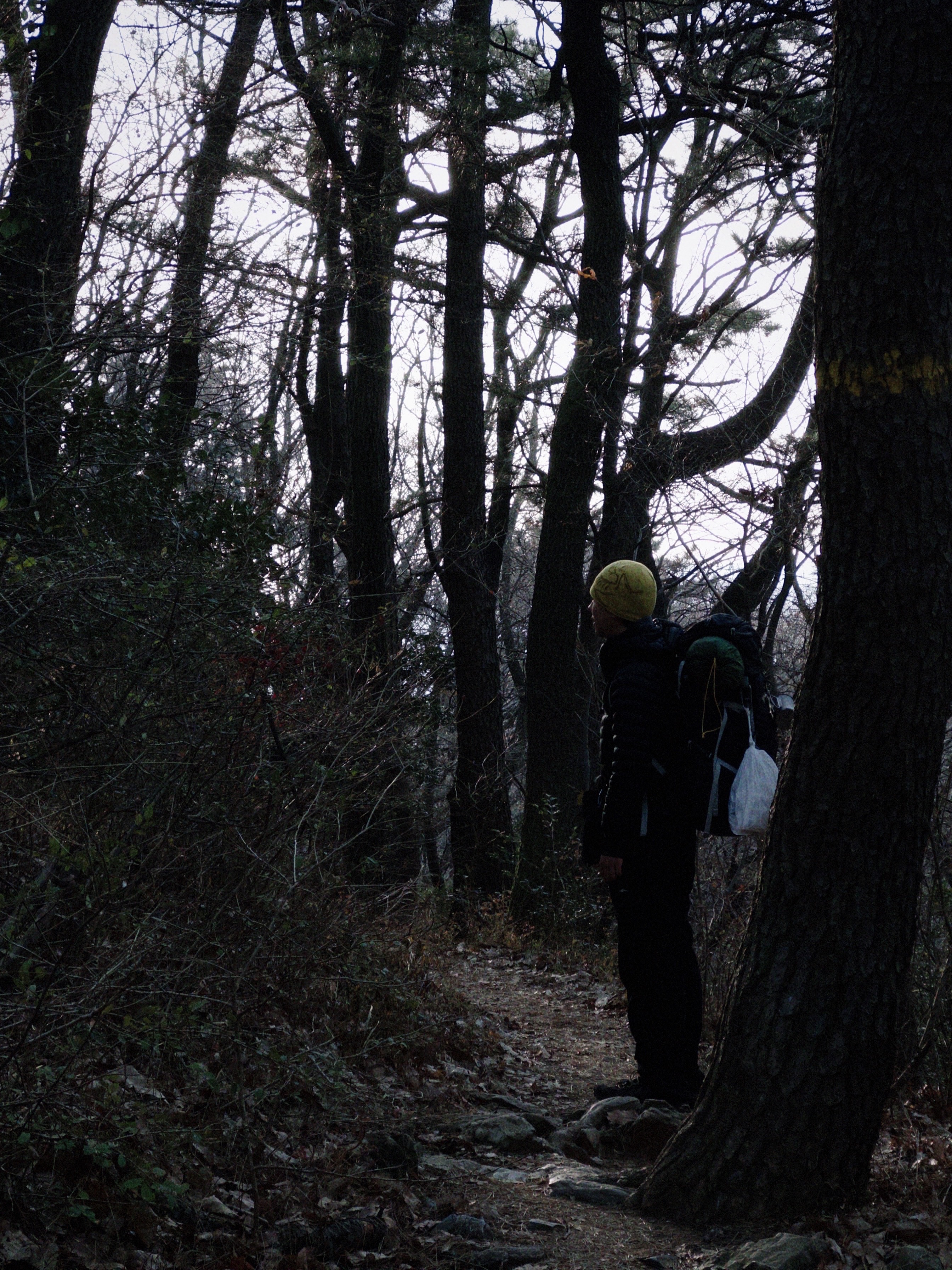 Arc'teryx Bird Head Toque Oracle, Rab Microlight Alpine Jacket Black 착용 스타일 - 1