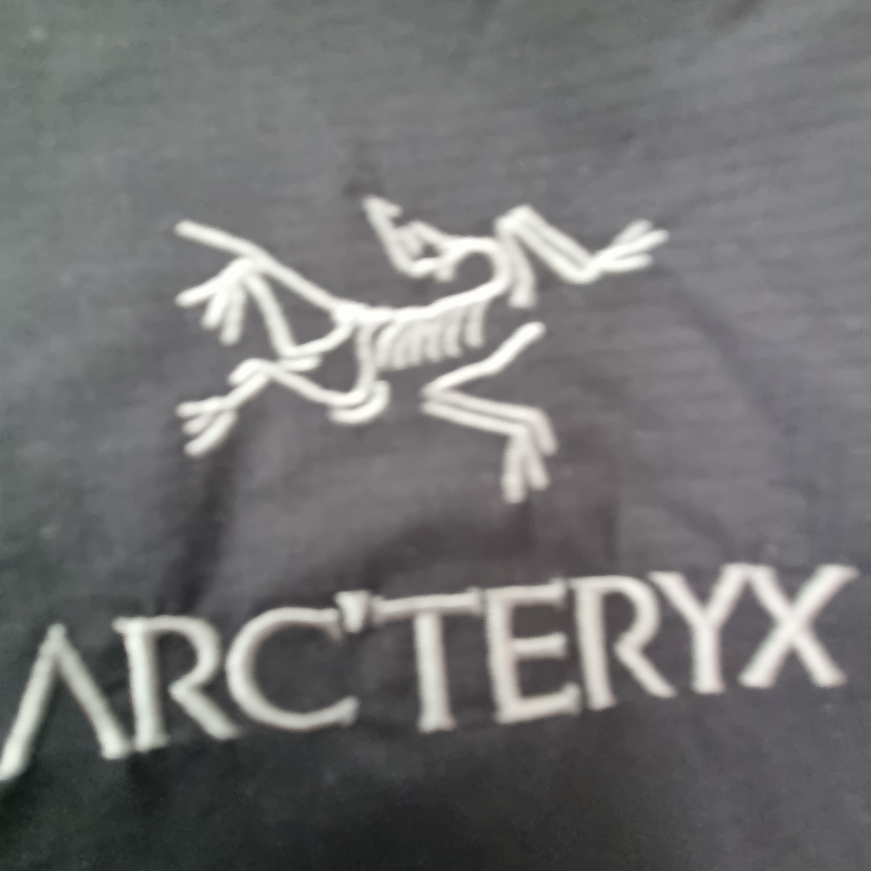 Arc'teryx Atom Hoody Black 착용 스타일