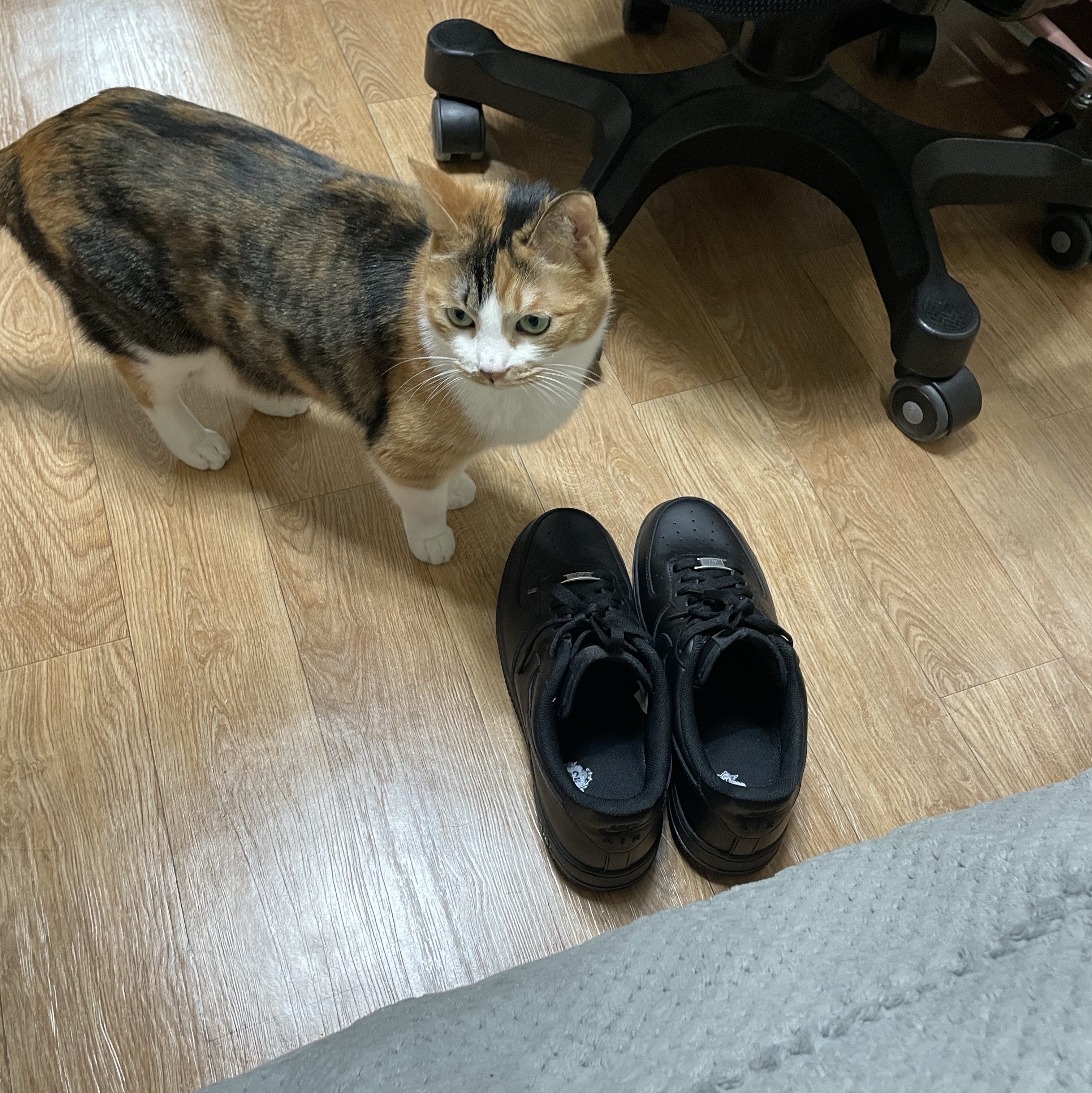 Nike Air Force 1 '07 Low Triple Black 착용 스타일