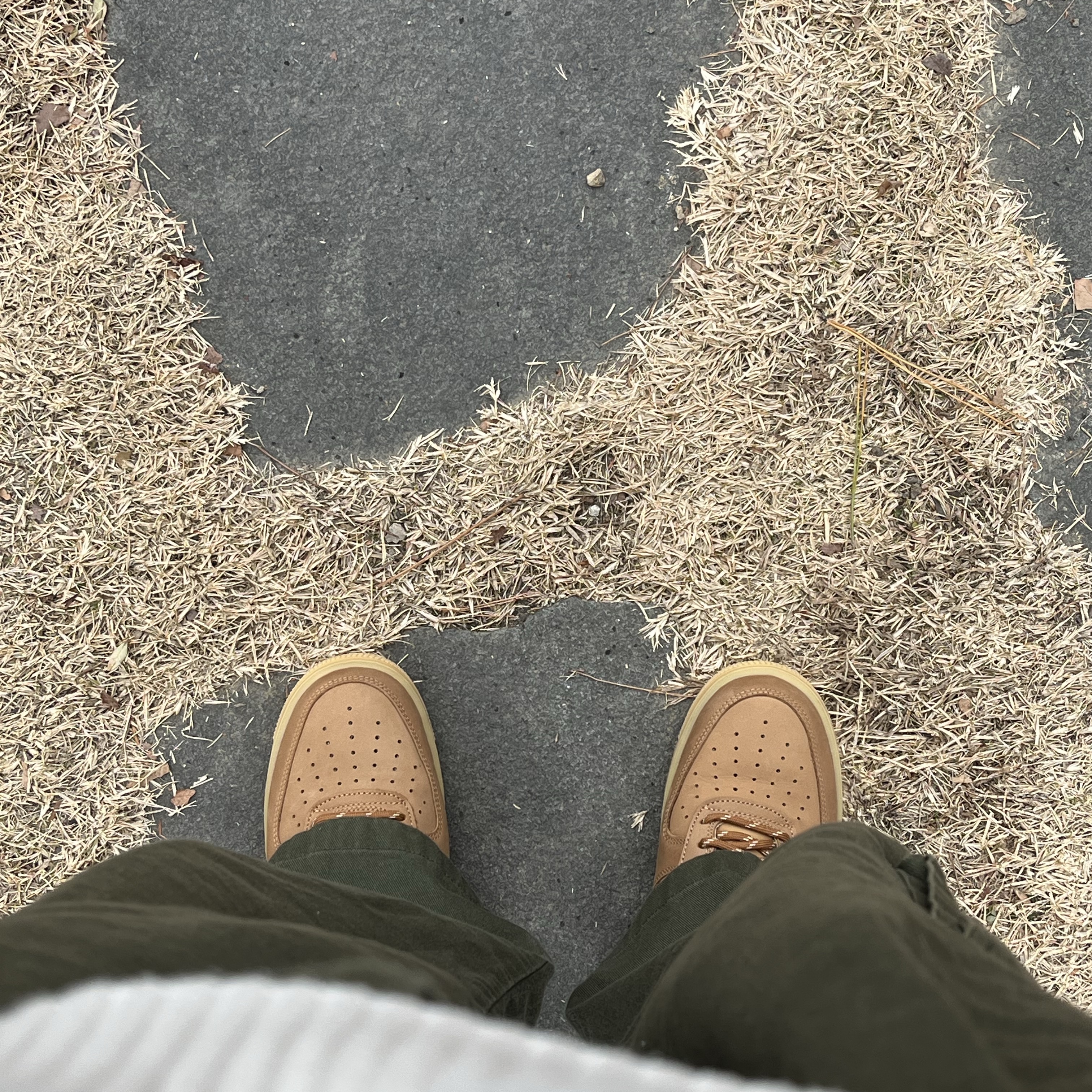 Nike Air Force 1 '07 WB Flax 착용 스타일