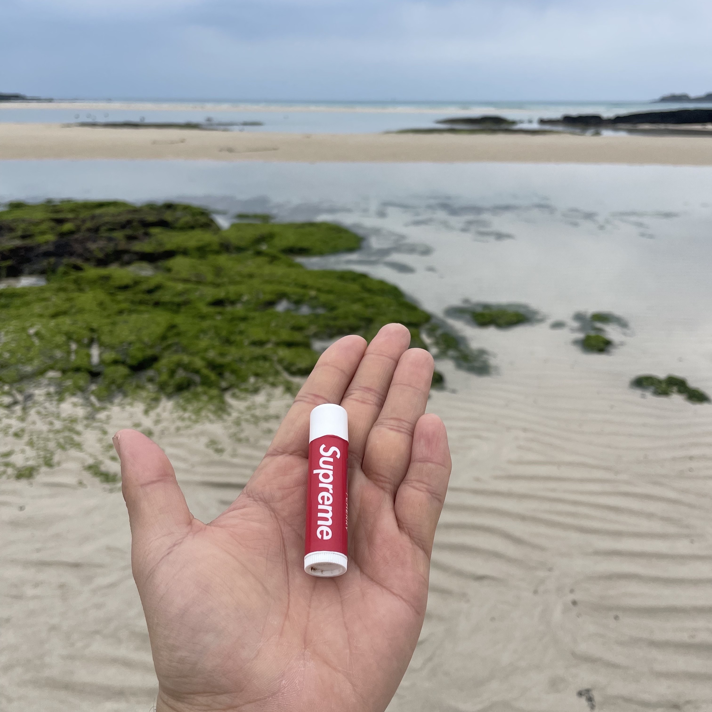 Supreme Chapstick Red (3 Pack) 착용 스타일