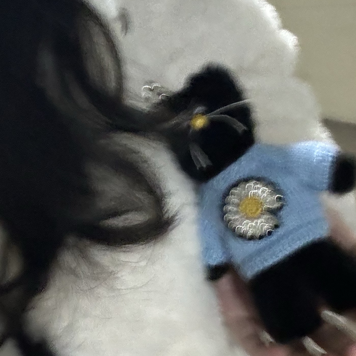 Monamhee x Peaceminusone Daihee Plush Keyring 착용 스타일