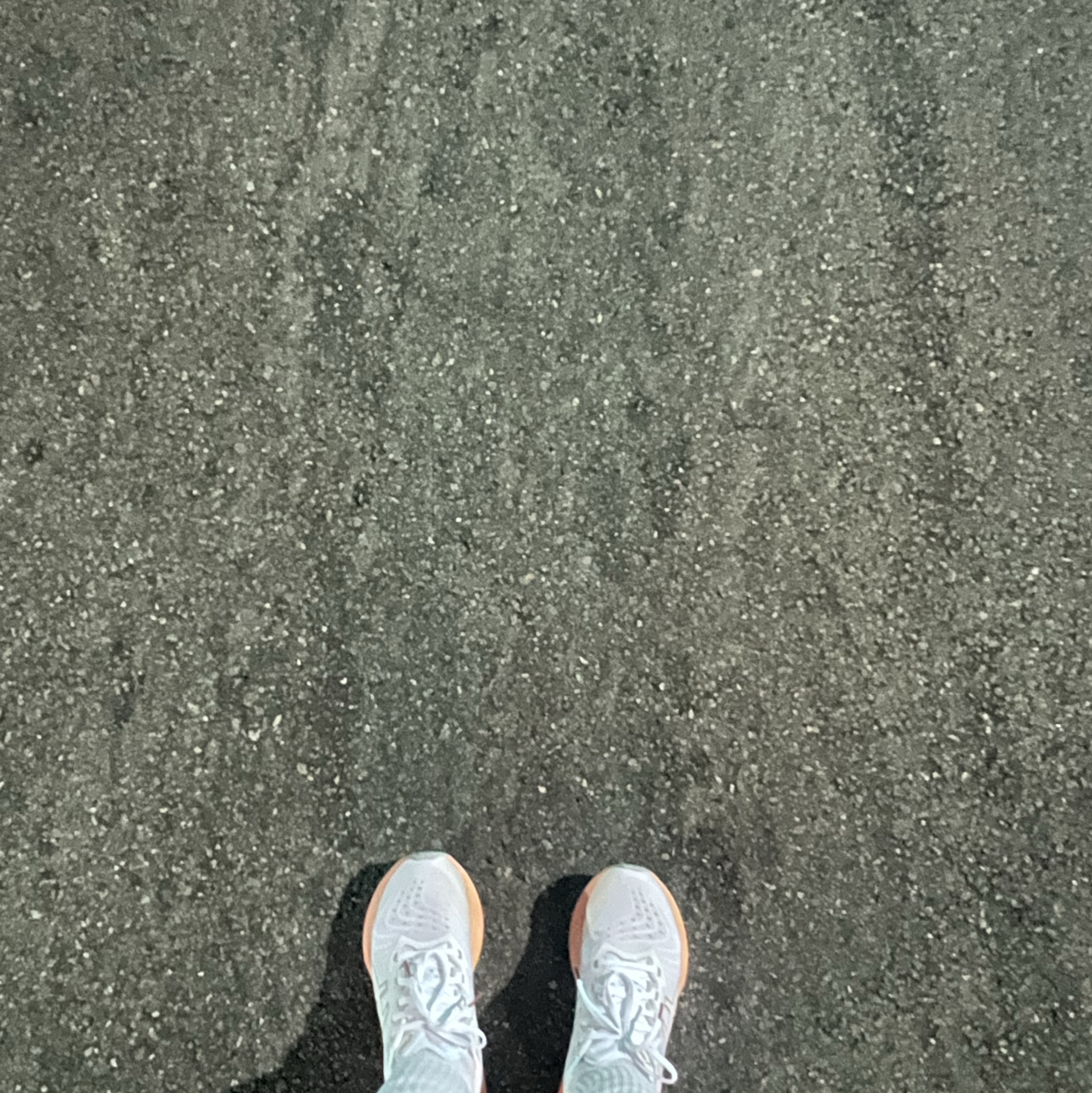 Asics Novablast 4 White Moonrock 착용 스타일
