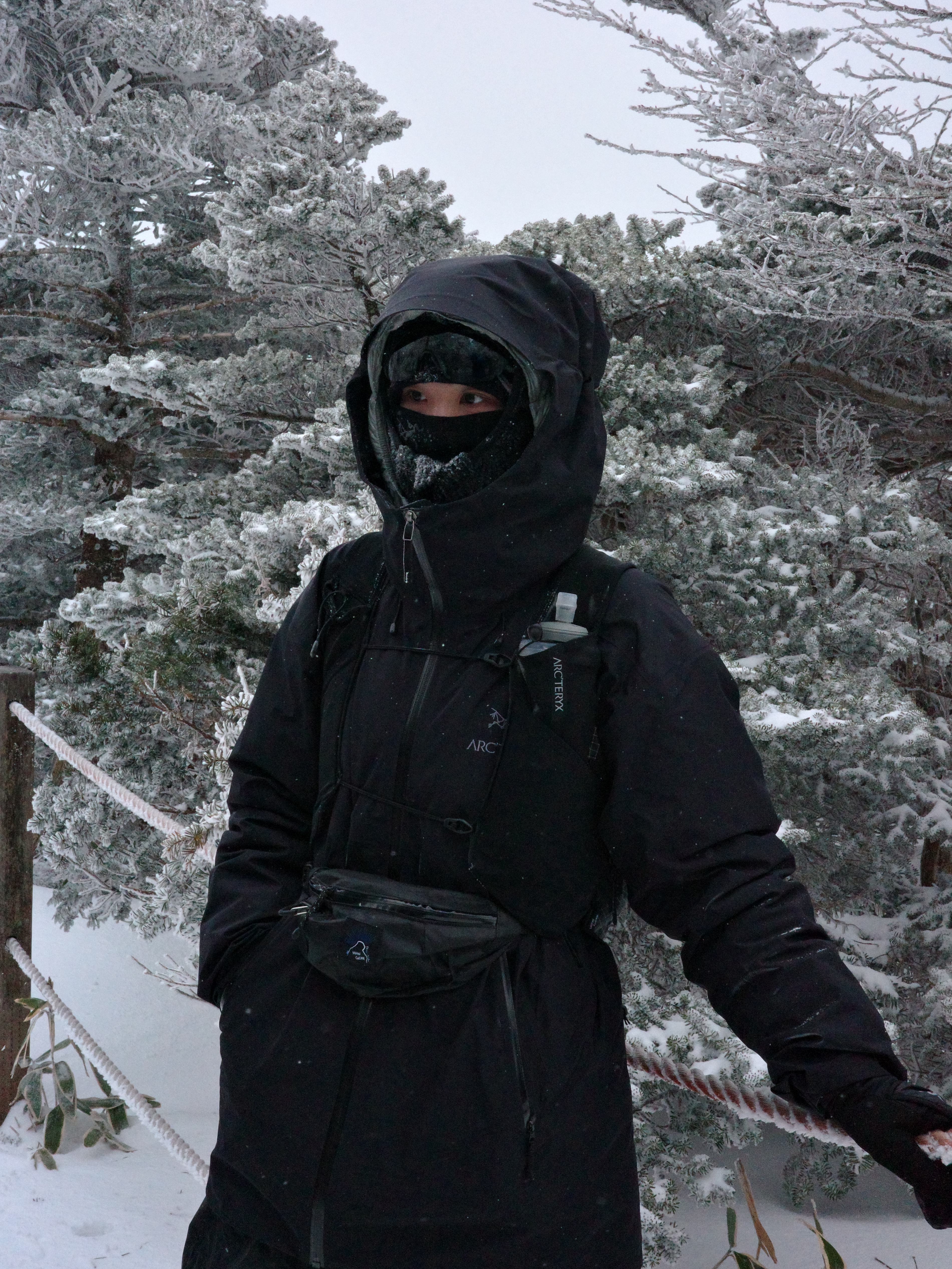 Arc'teryx Beta LT Jacket Black, Arc'teryx Norvan 14 Vest Black 착용 스타일 - 1