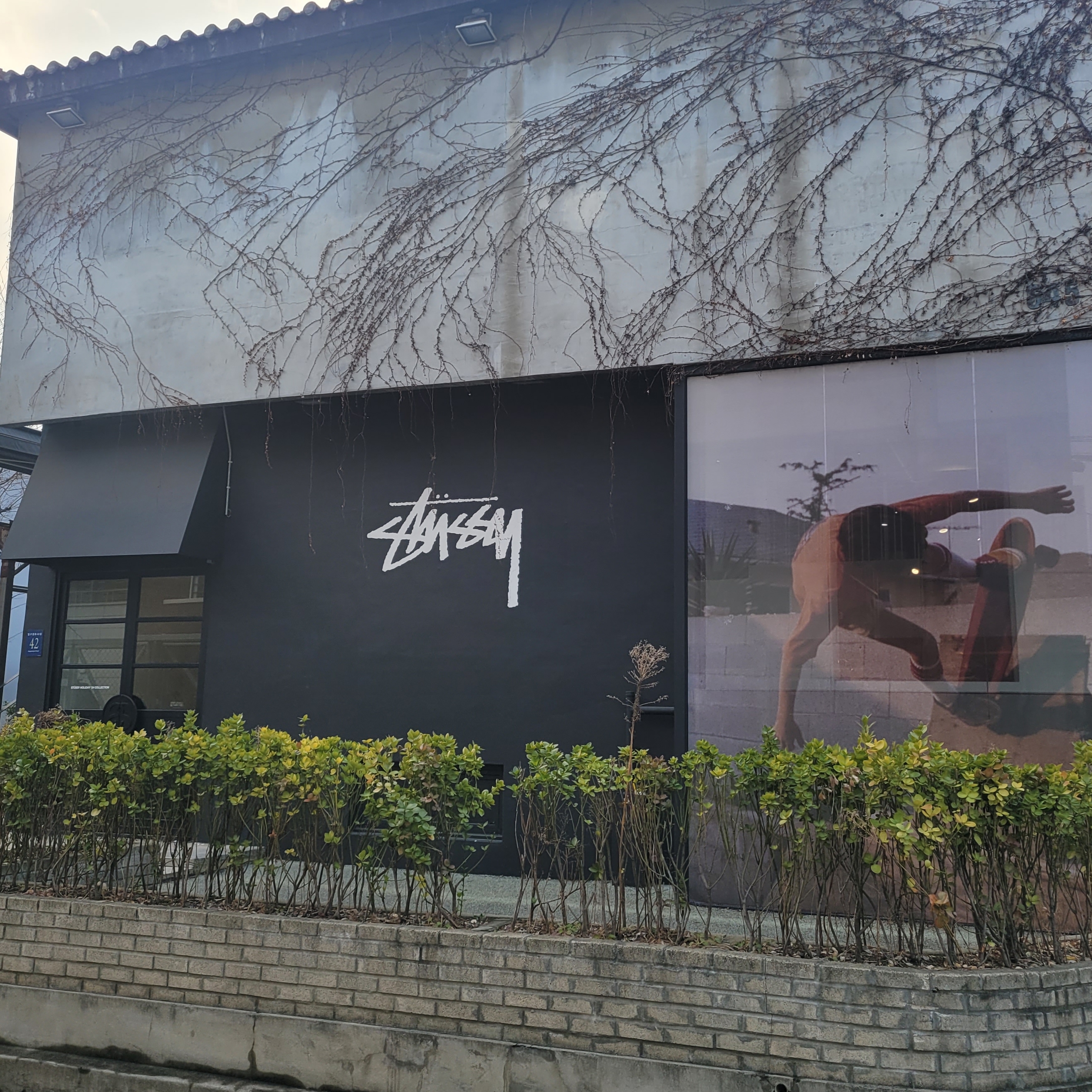 Stussy DNA Pigment Dyed T-Shirt Granite 착용 스타일 - 1