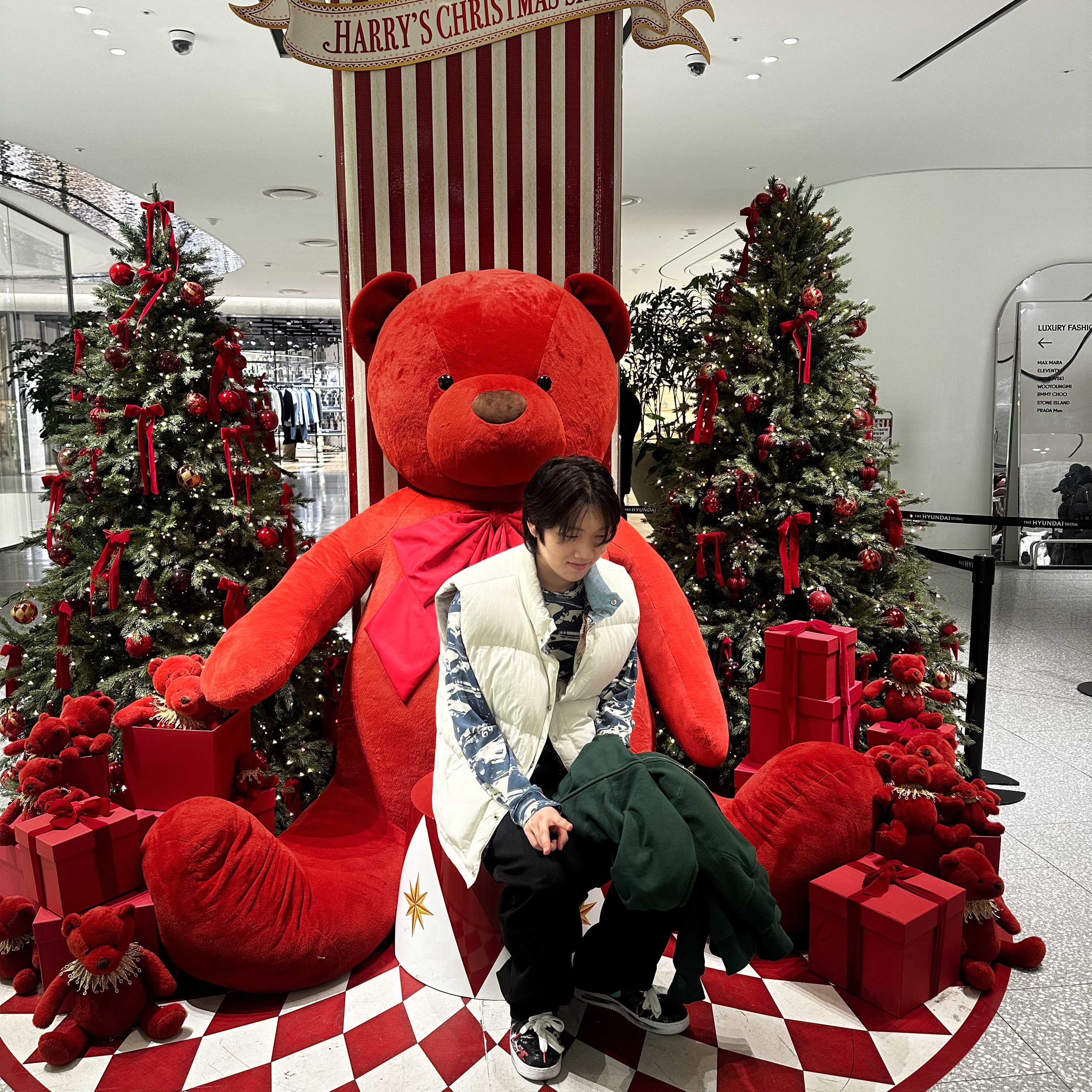 Stussy Peter Sutherland Reversible Down Vest Bone, Supreme x Hysteric Glamour Cars Thermal Teal - 24FW 착용 스타일