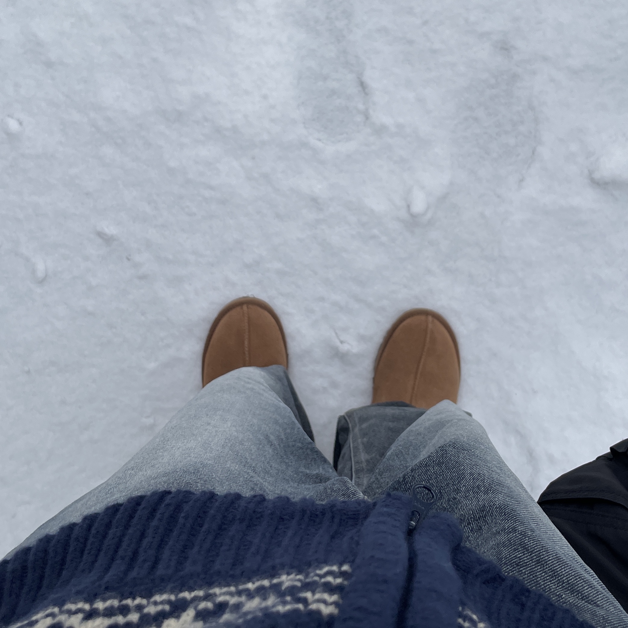 UGG Tasman Slipper Chestnut 착용 스타일