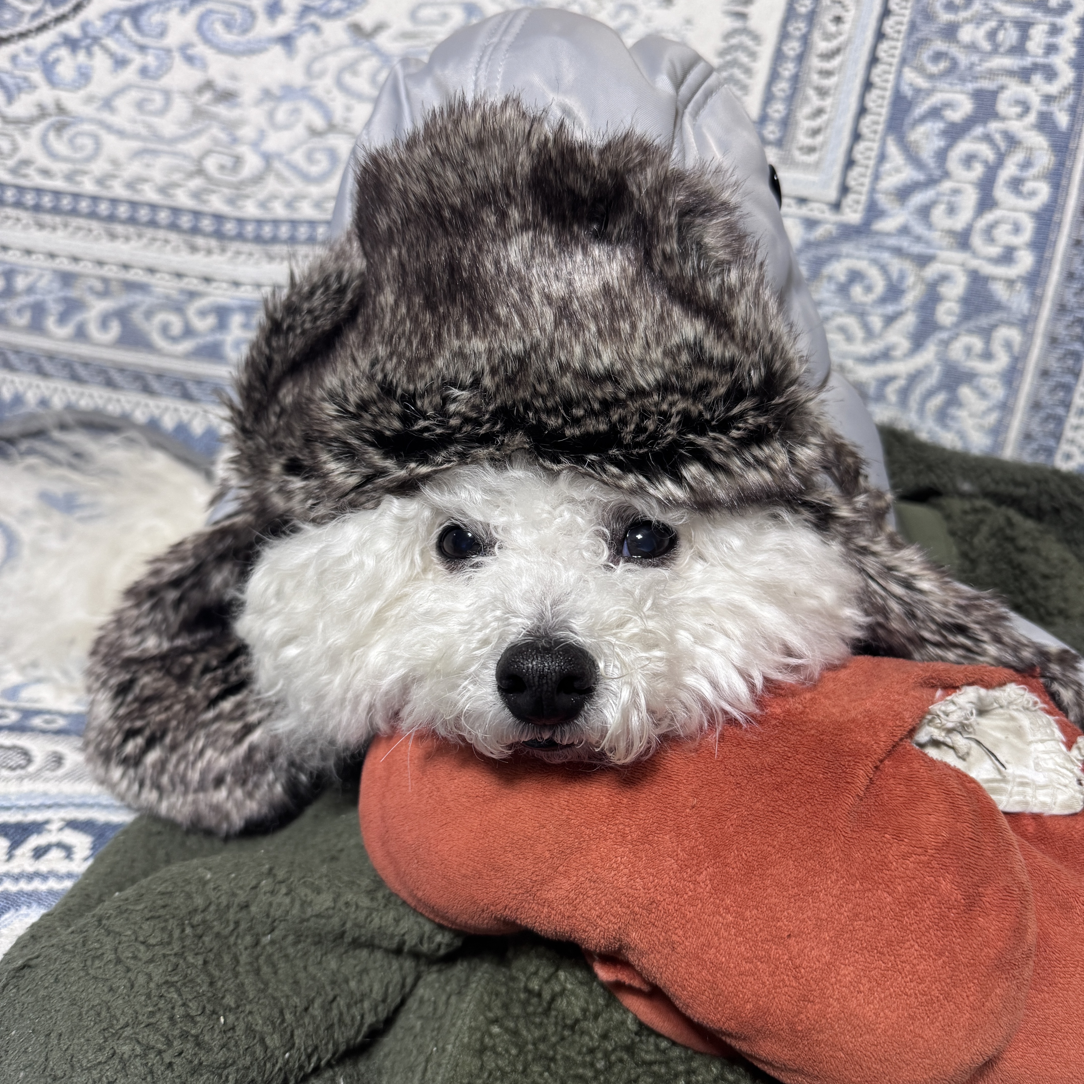 Palace P2B Reverso Fur Trooper Concrete Grey - 24FW 착용 스타일