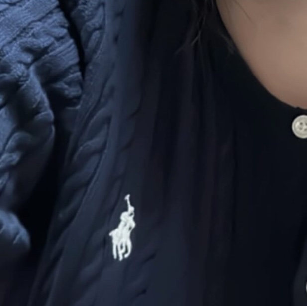 [30% 적립] Polo Ralph Lauren Children Mini Cable Cotton Cardigan Hunter Navy 착용 스타일
