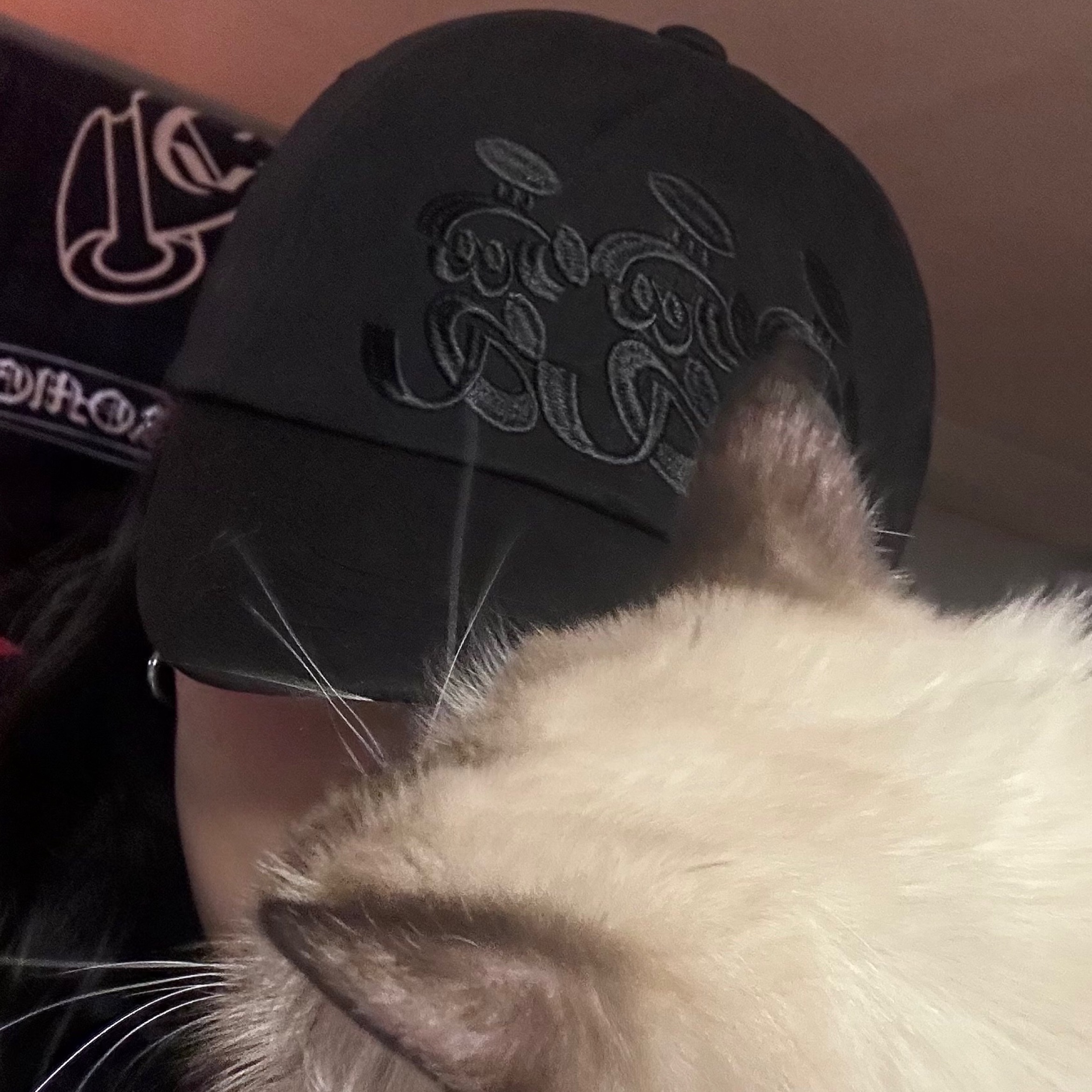 LUVLUVLUV SV The Most Basic Baseball Cap Black 착용 스타일 - 5
