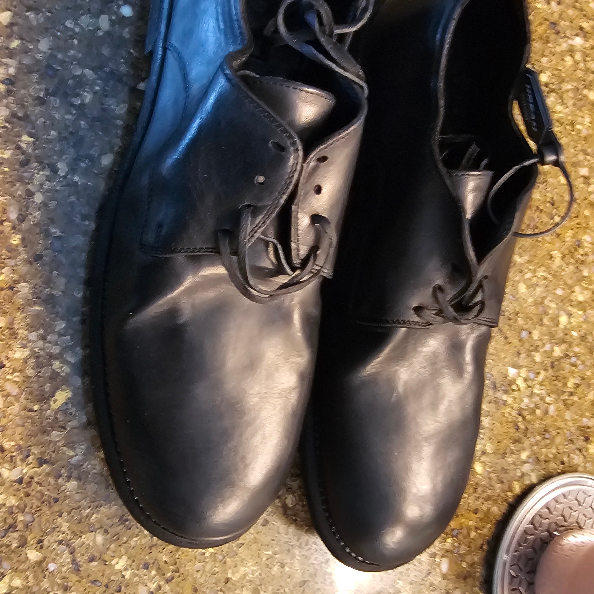 Guidi 992 Horse Full Grain Leather Derby Black 착용 스타일 - 4