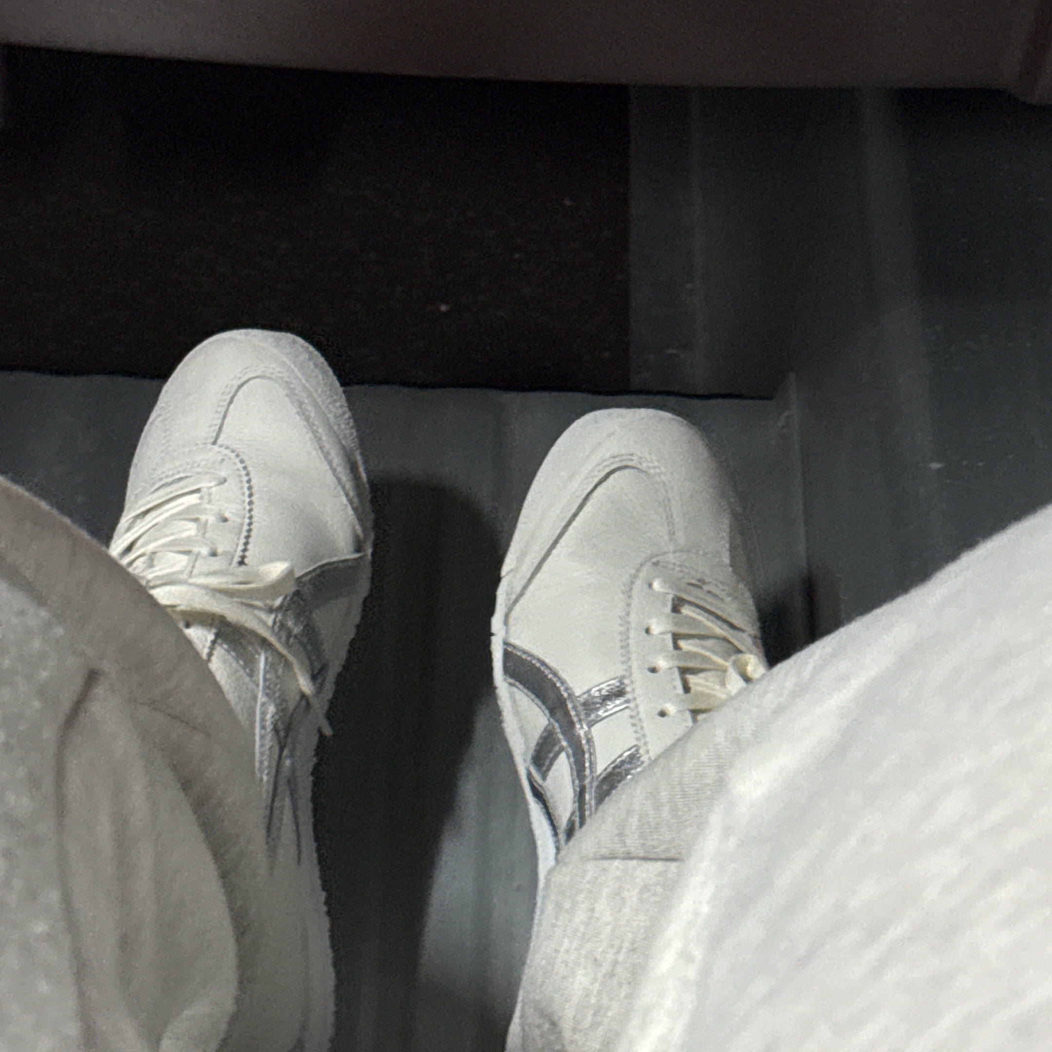 Onitsuka Tiger Mexico 66 White Silver 착용 스타일