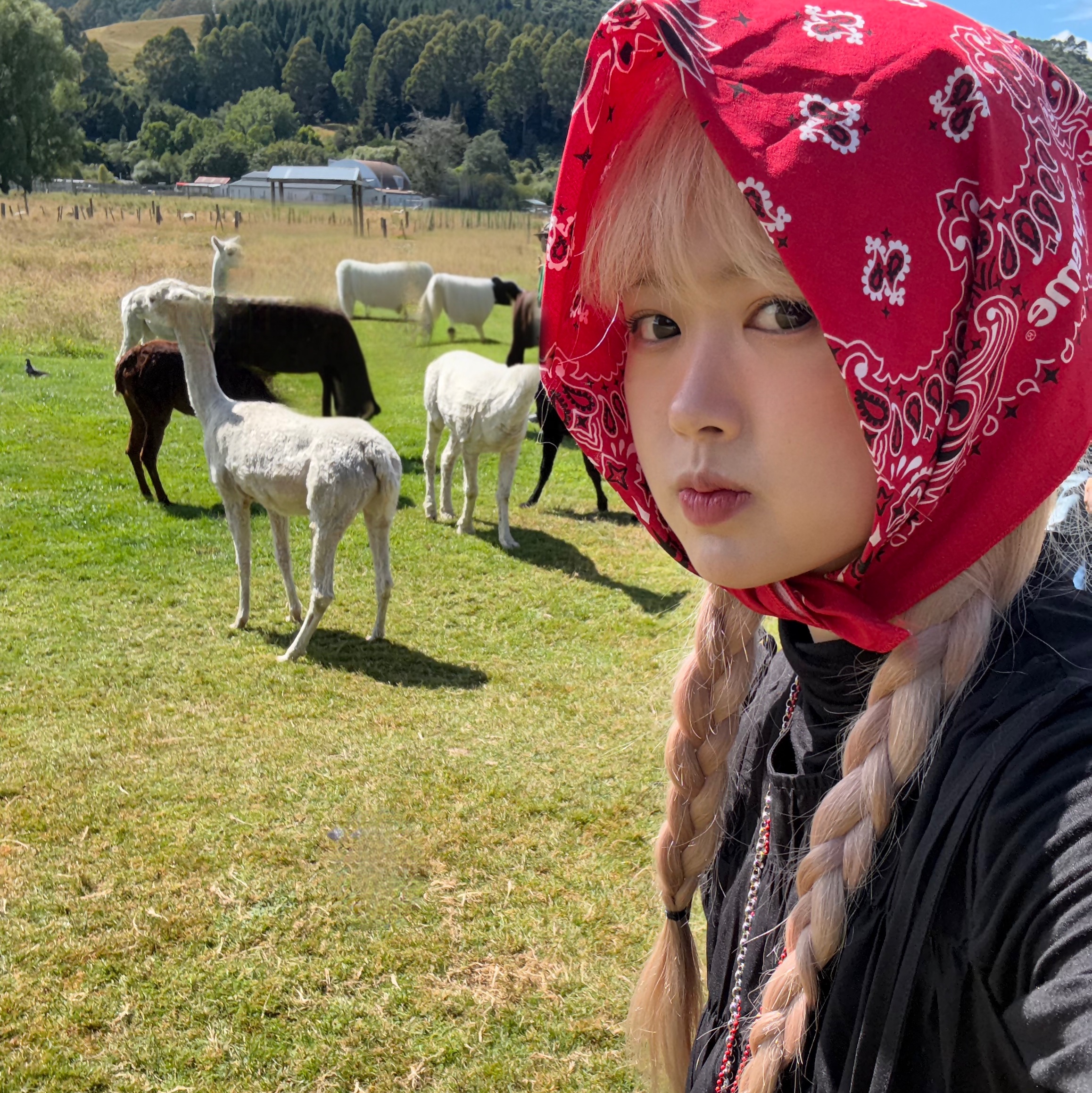 Sou Sou Canvas Soft Gamaguchi Bag Large Black (with 110cm Black Leather Strap), Supreme Hav-A-Hank Bandanas Multicolor (Set of 3) - 24SS 착용 스타일 - 4