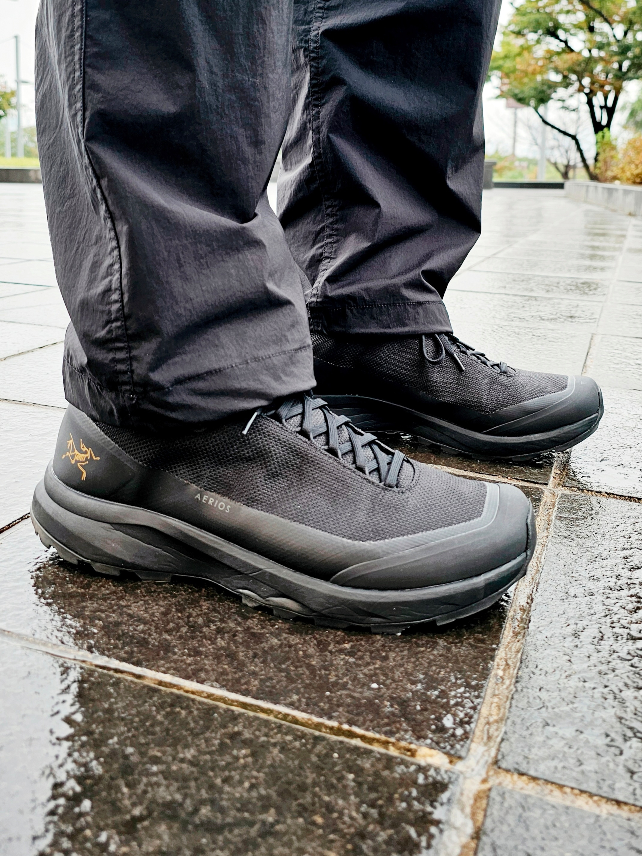 Arc'teryx Aerios FL 2 GTX Black 착용 스타일 - 5