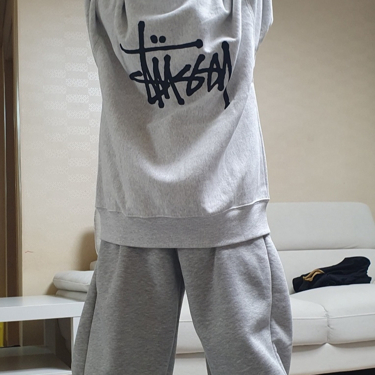 Stussy Basic Stussy Hoodie Ash Heather 착용 스타일
