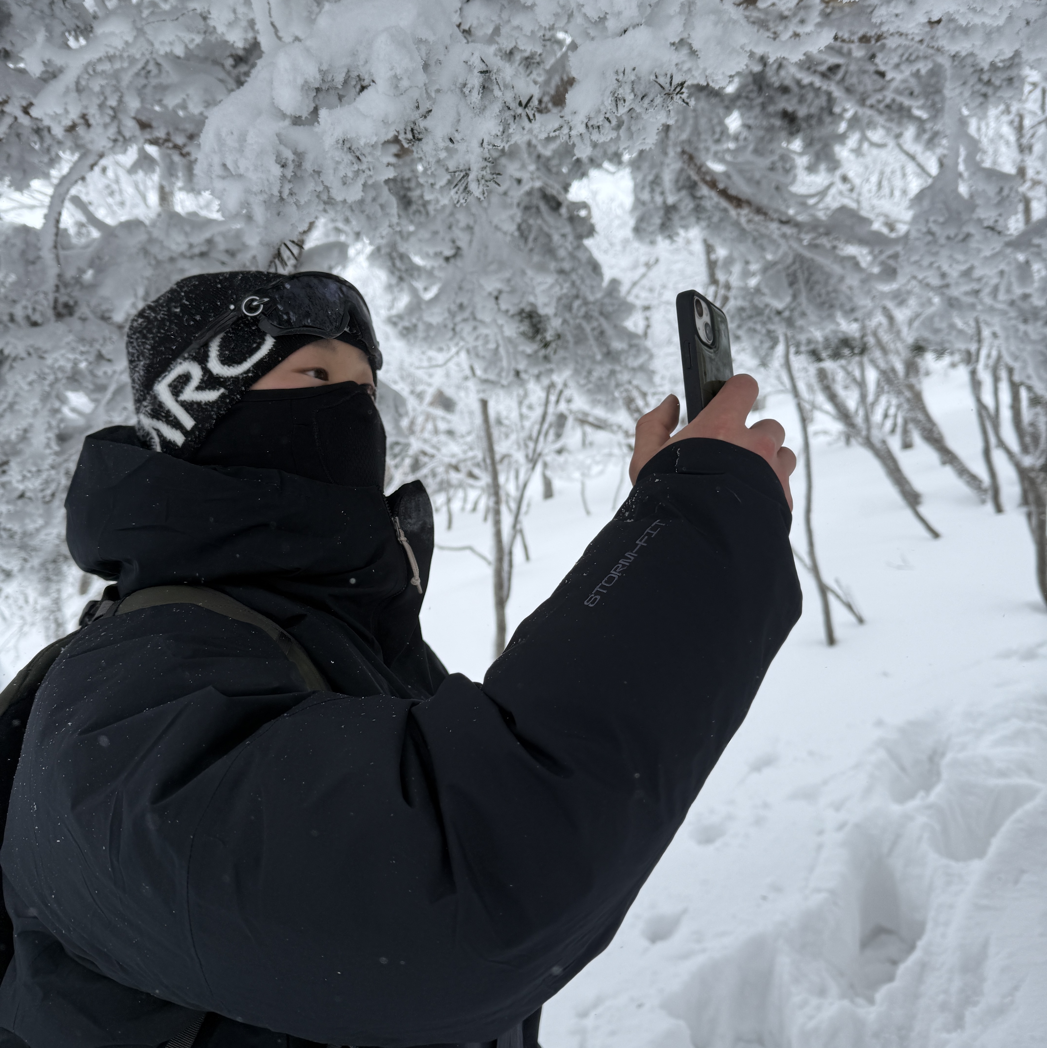 Arc'teryx Word Head Toque Orca 착용 스타일