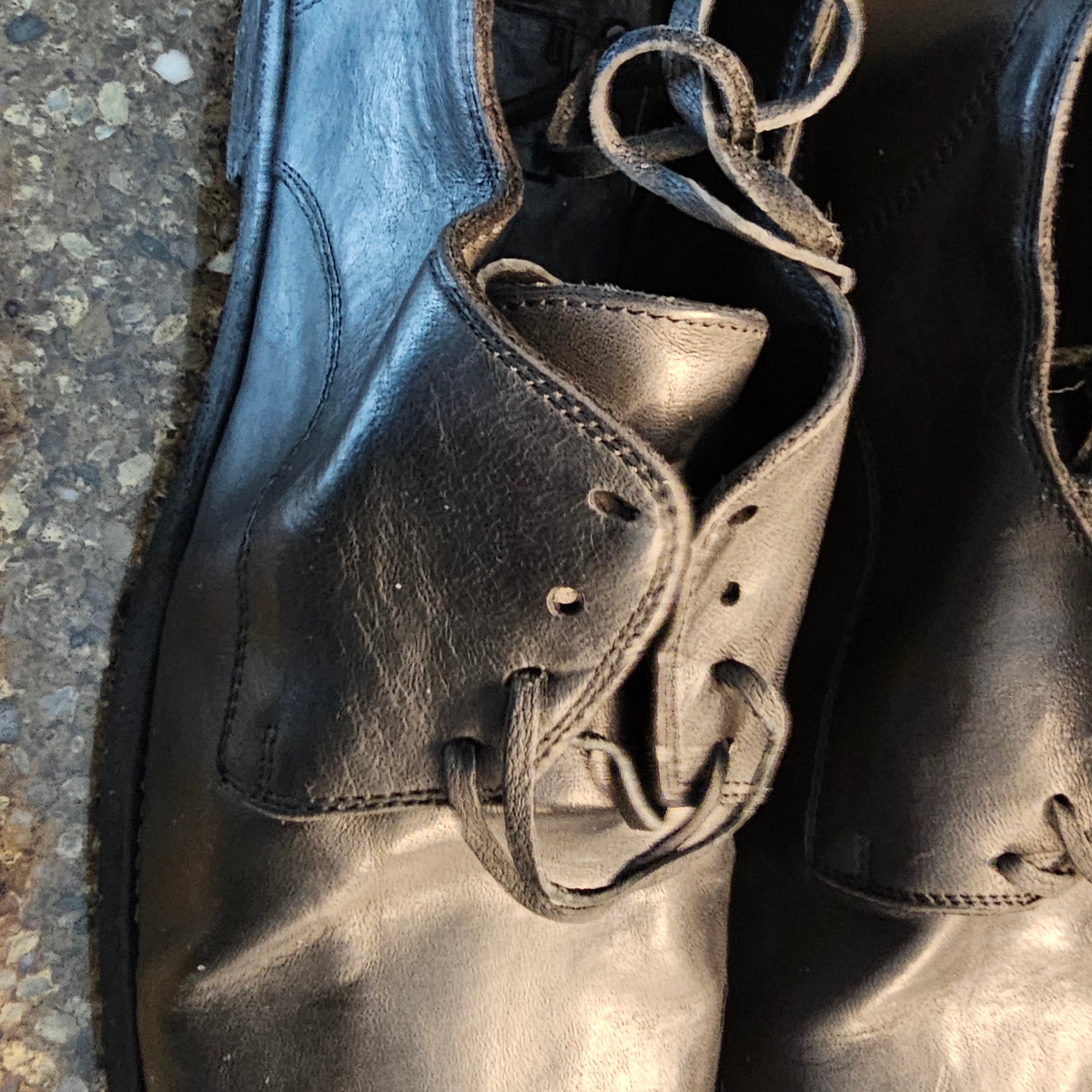 Guidi 992 Horse Full Grain Leather Derby Black 착용 스타일 - 5