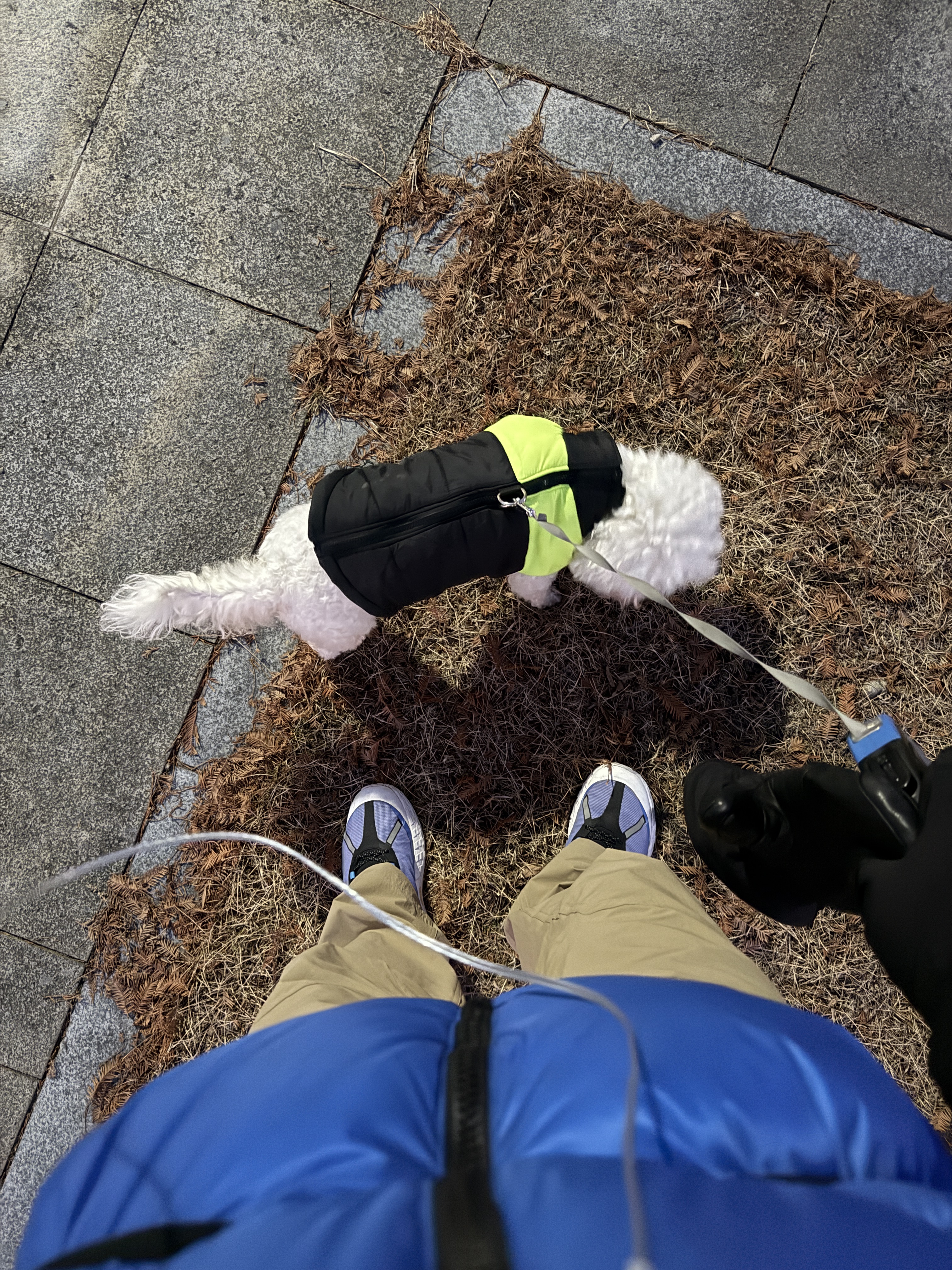 Norda x Ray Zahab 001 Azure Blue, Feathered Friends Helios Hooded Down Jacket Arctic 착용 스타일