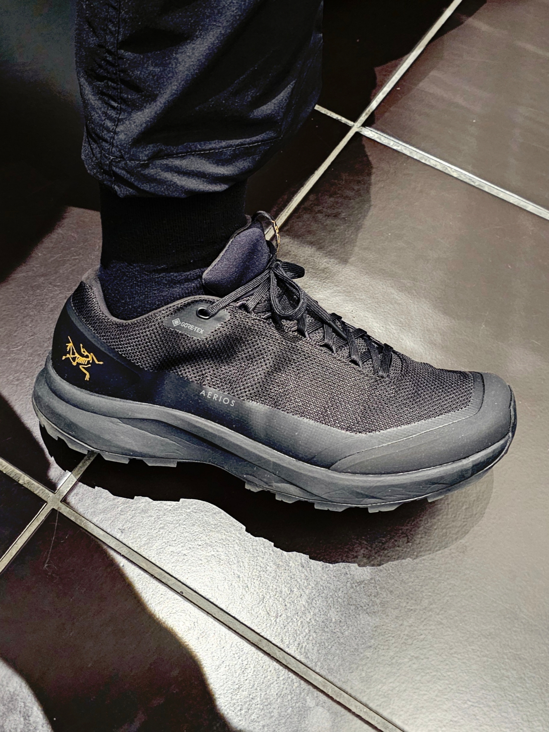 Arc'teryx Aerios FL 2 GTX Black 착용 스타일 - 1