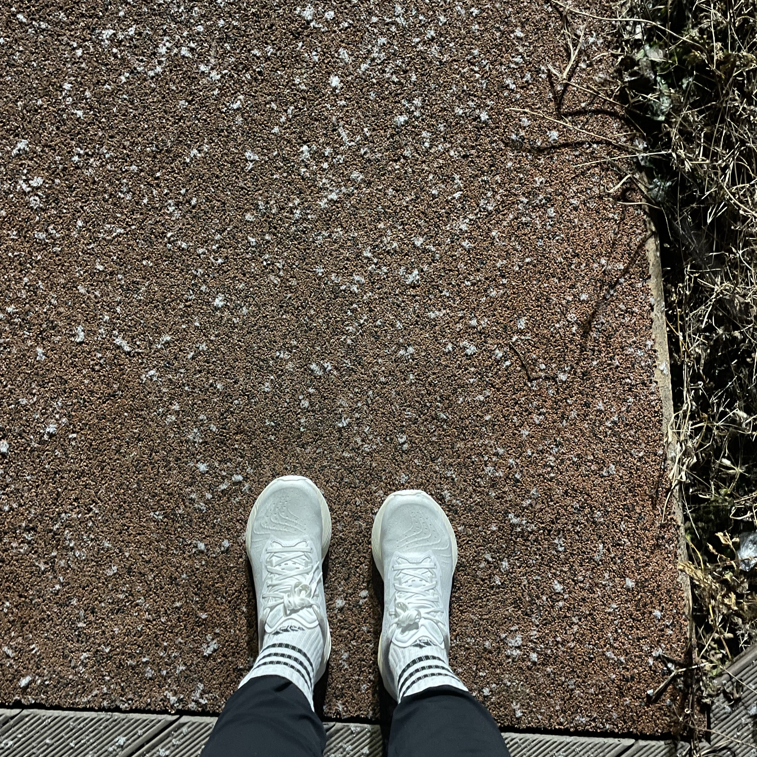 Asics Novablast 4 White 착용 스타일