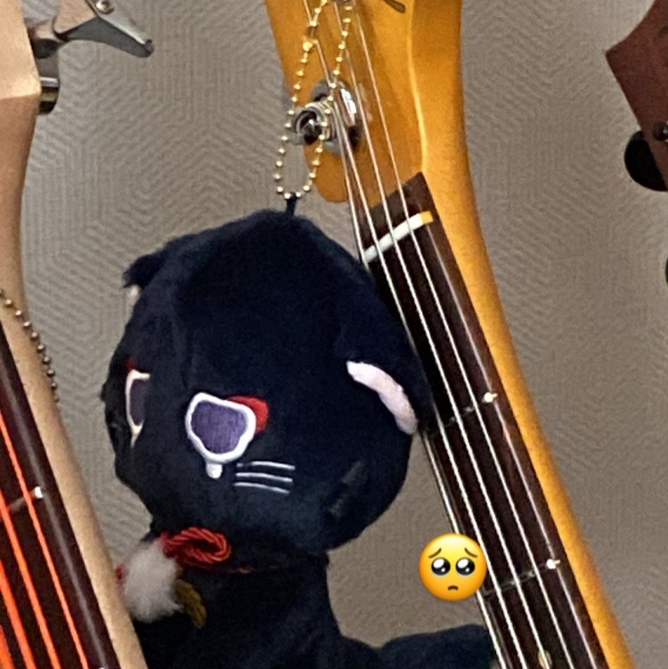 Genshin Plush Strap Doll Keyring Wanderer's Fairy Tale Cat Scaranyang Crying Version 착용 스타일