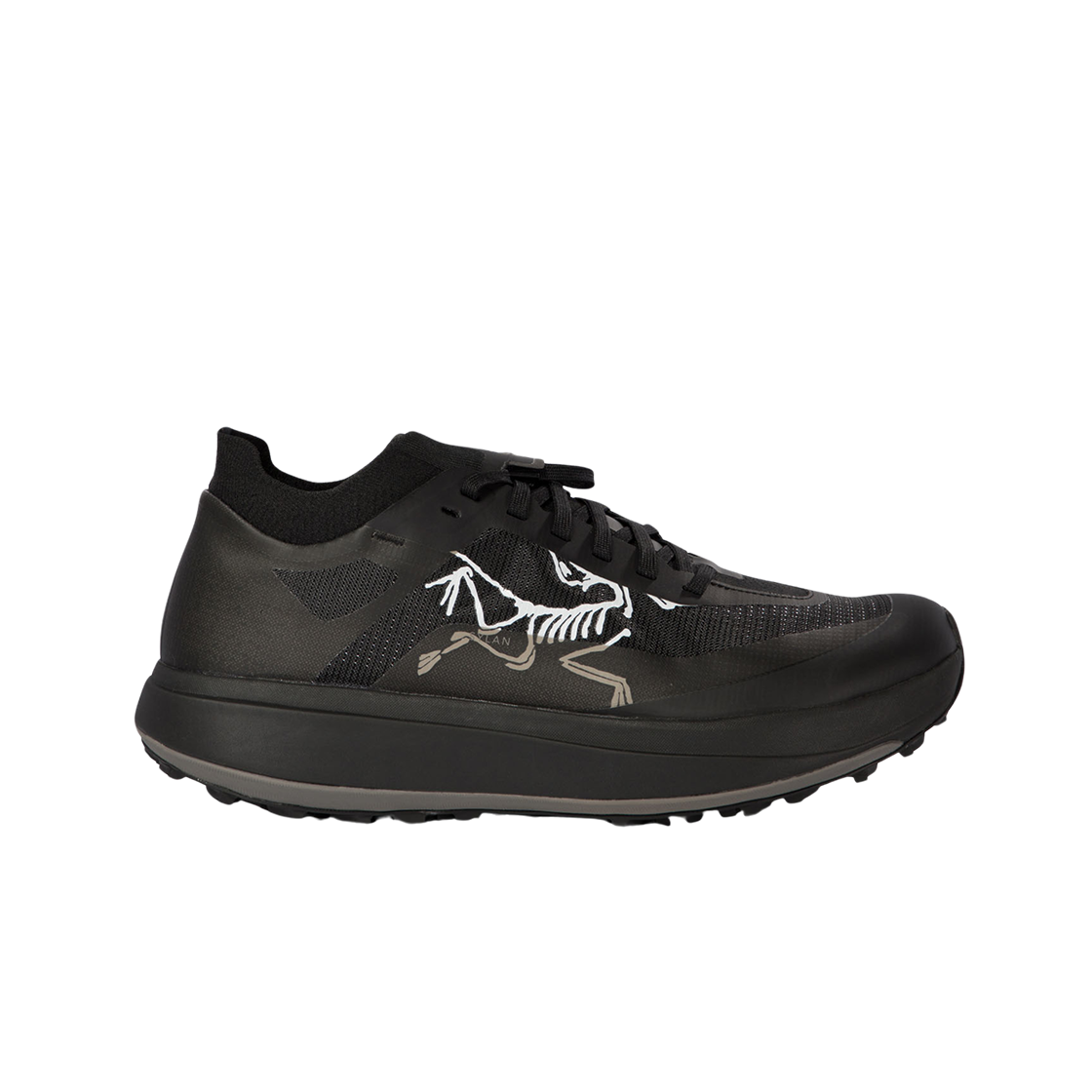 아크테릭스 실란 프로 블랙(Arc'teryx Sylan Pro Black)