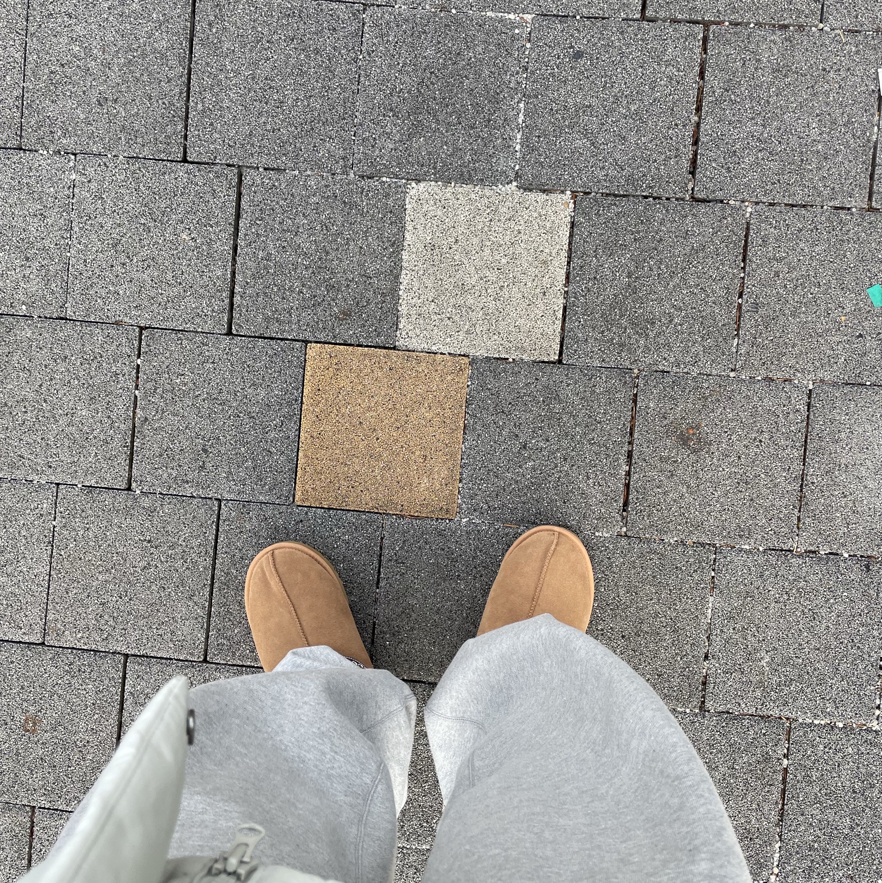 UGG Tasman Slipper Chestnut 착용 스타일