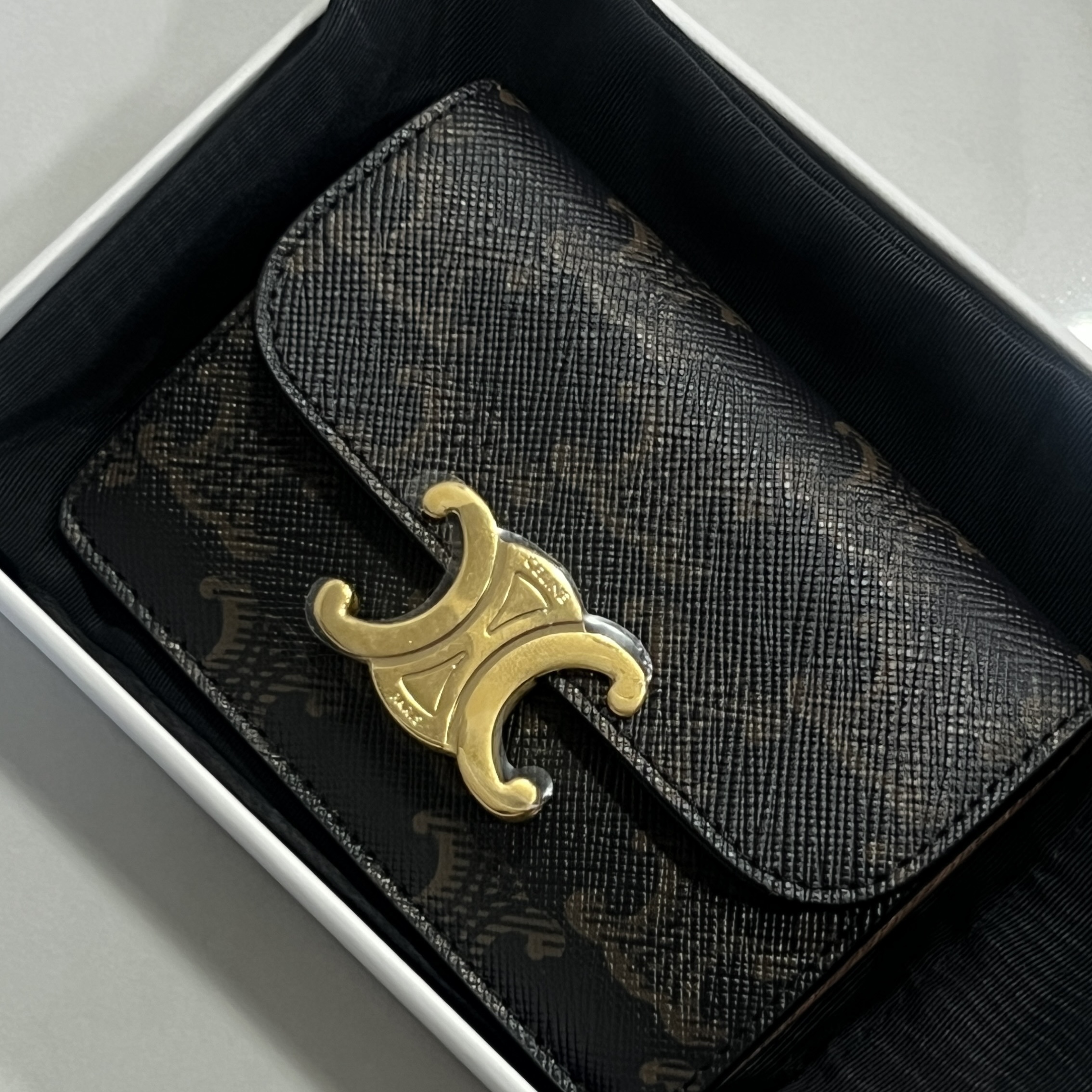 Celine Card Holder with Flap in Triomphe Canvas Tan 착용 스타일