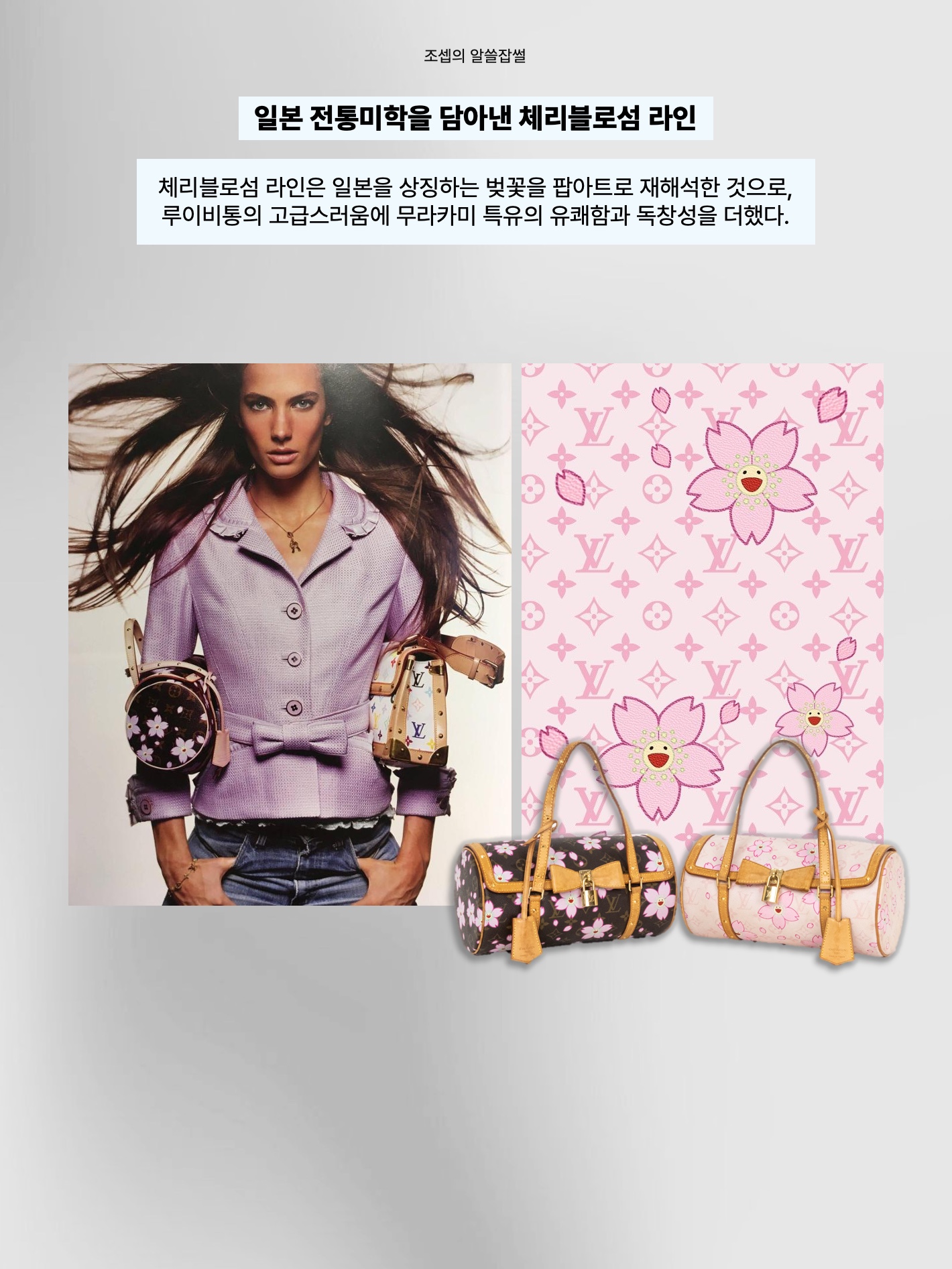 Louis Vuitton Speedy Bandouliere 30 Monogram, Louis Vuitton Palm Springs Mini Backpack Monogram 착용 스타일 - 8