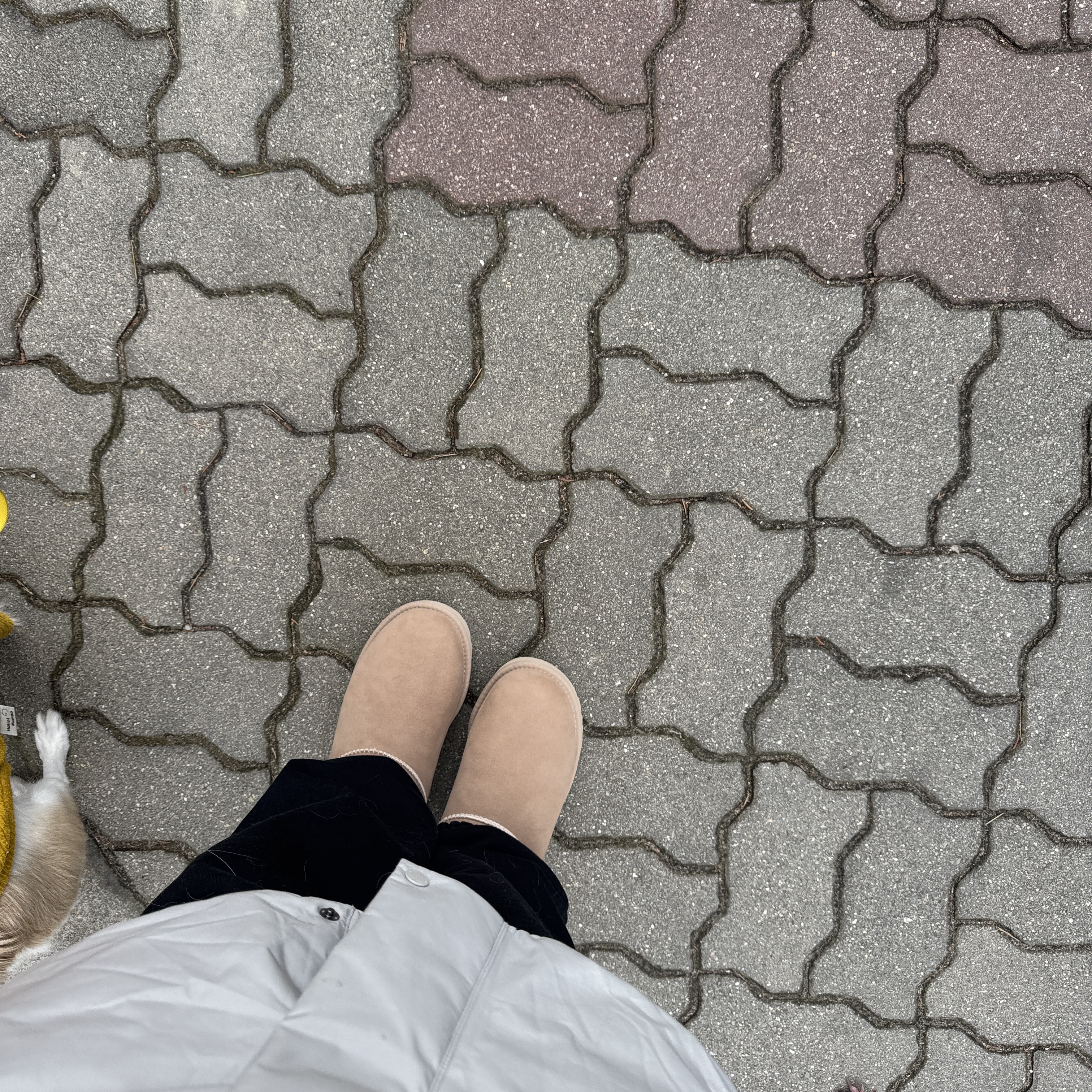 (W) UGG Classic Ultra Mini Boots Sand 착용 스타일