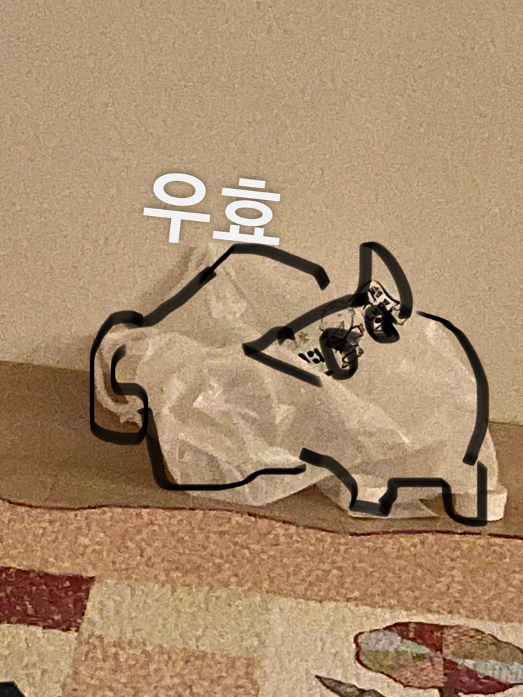 KREAM 프로필 이미지