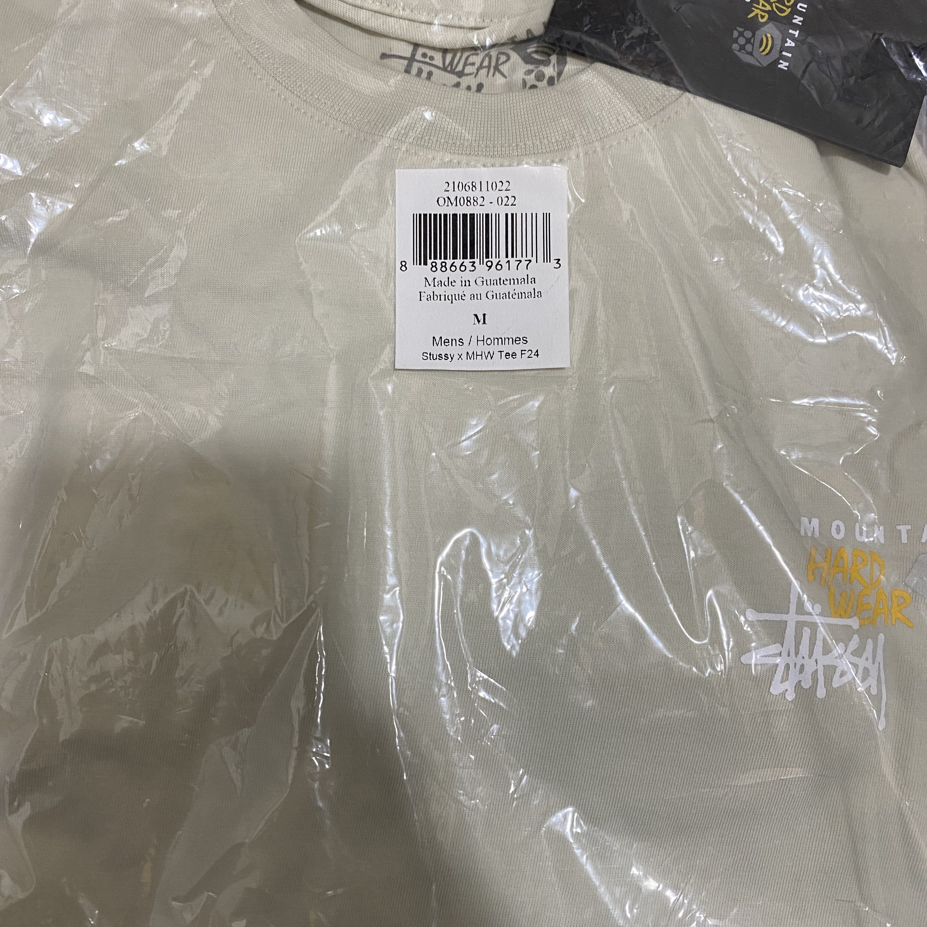 Stussy x Mountain Hardwear LS T-Shirt Stone 착용 스타일