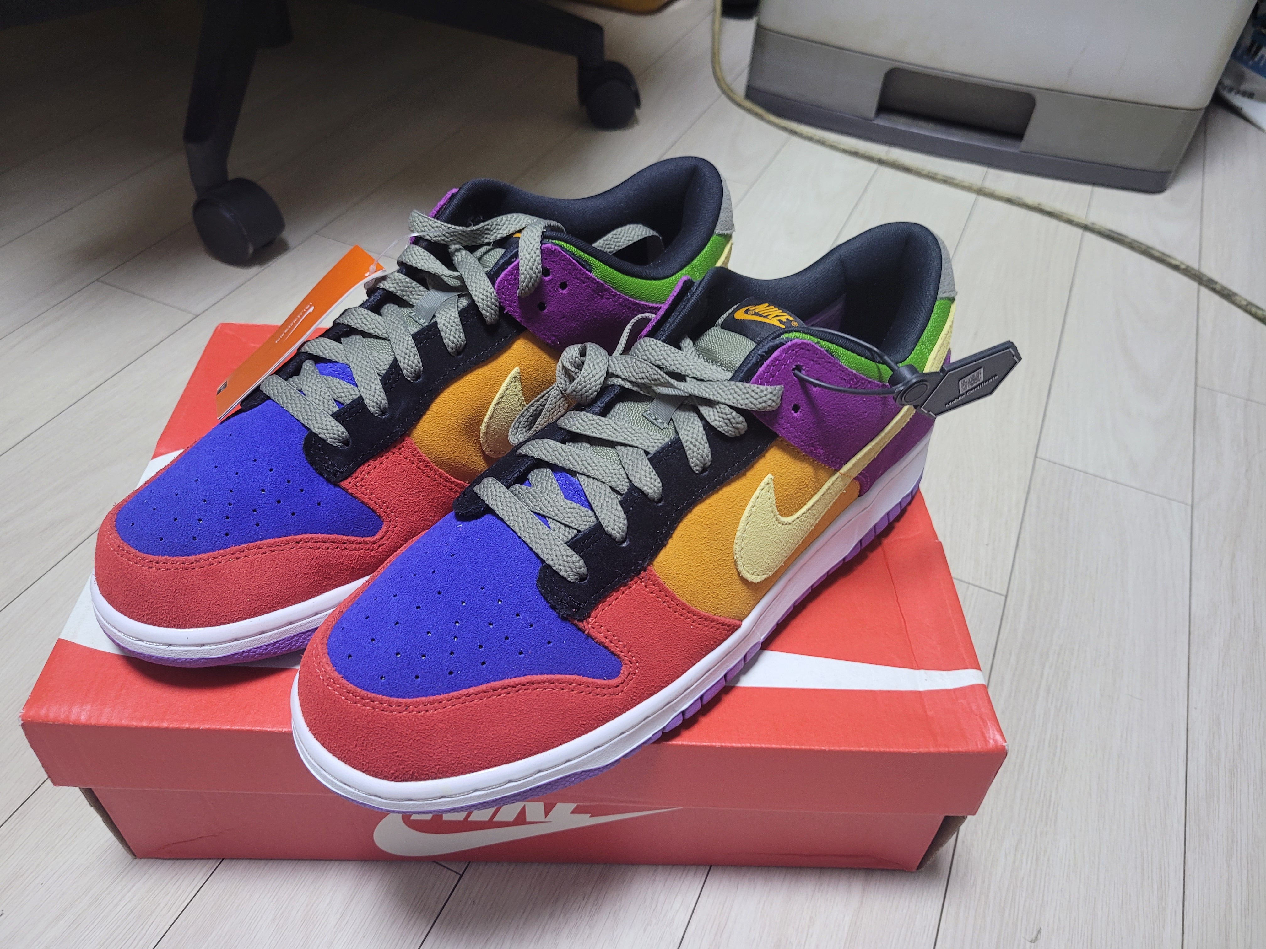 Nike Dunk Low SP Retro Viotech 2019 착용 스타일