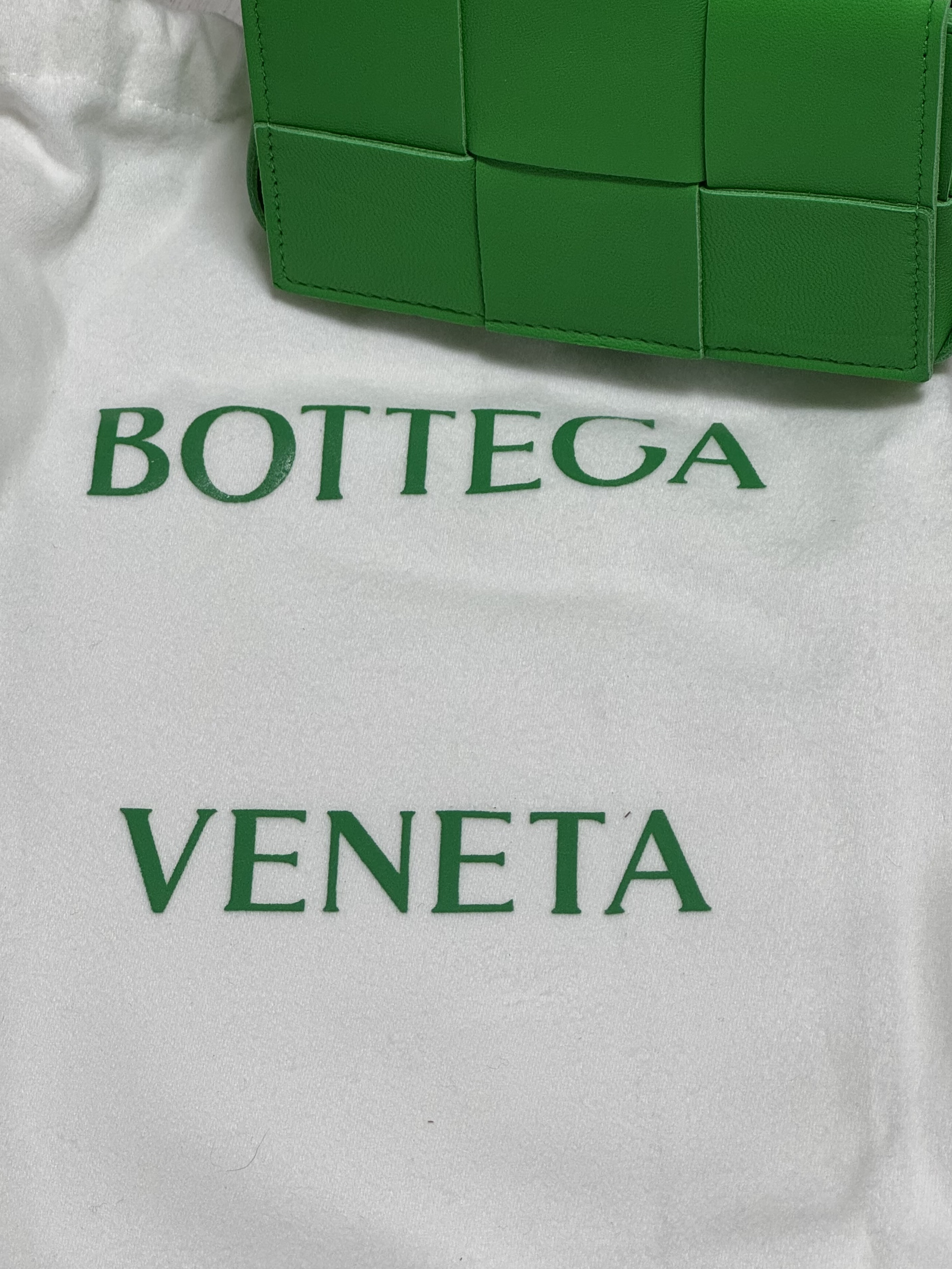 Bottega Veneta Mini Leather Cassette Parakeet 착용 스타일