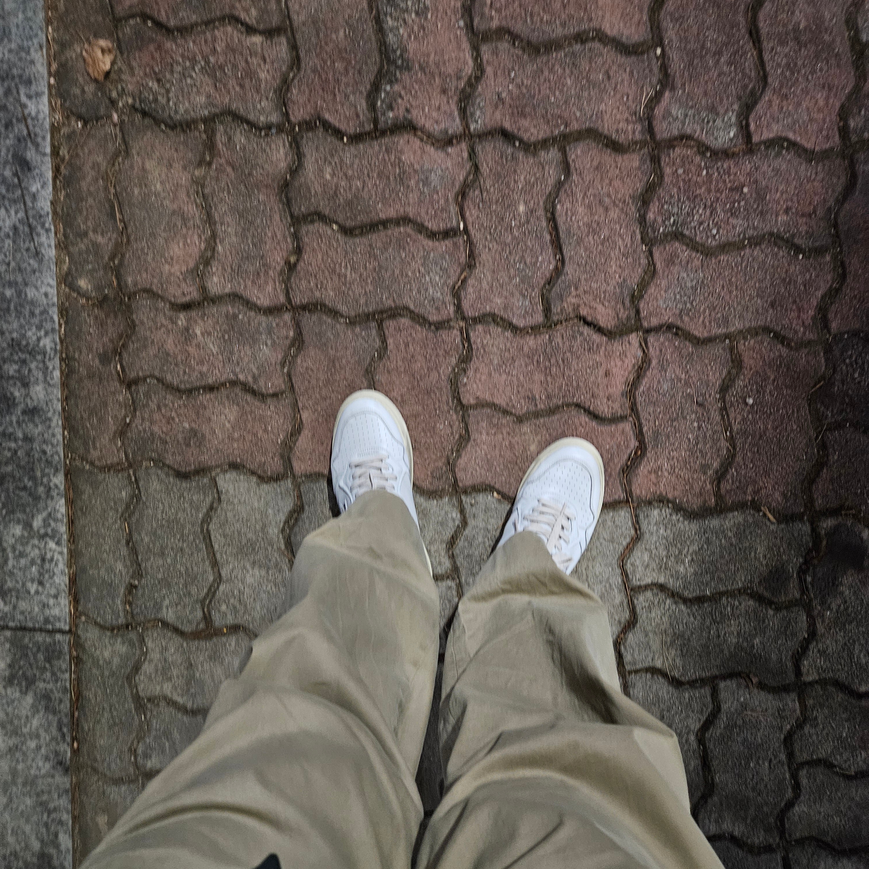 Autry Medalist Low Leather Sneakers White Blue 착용 스타일