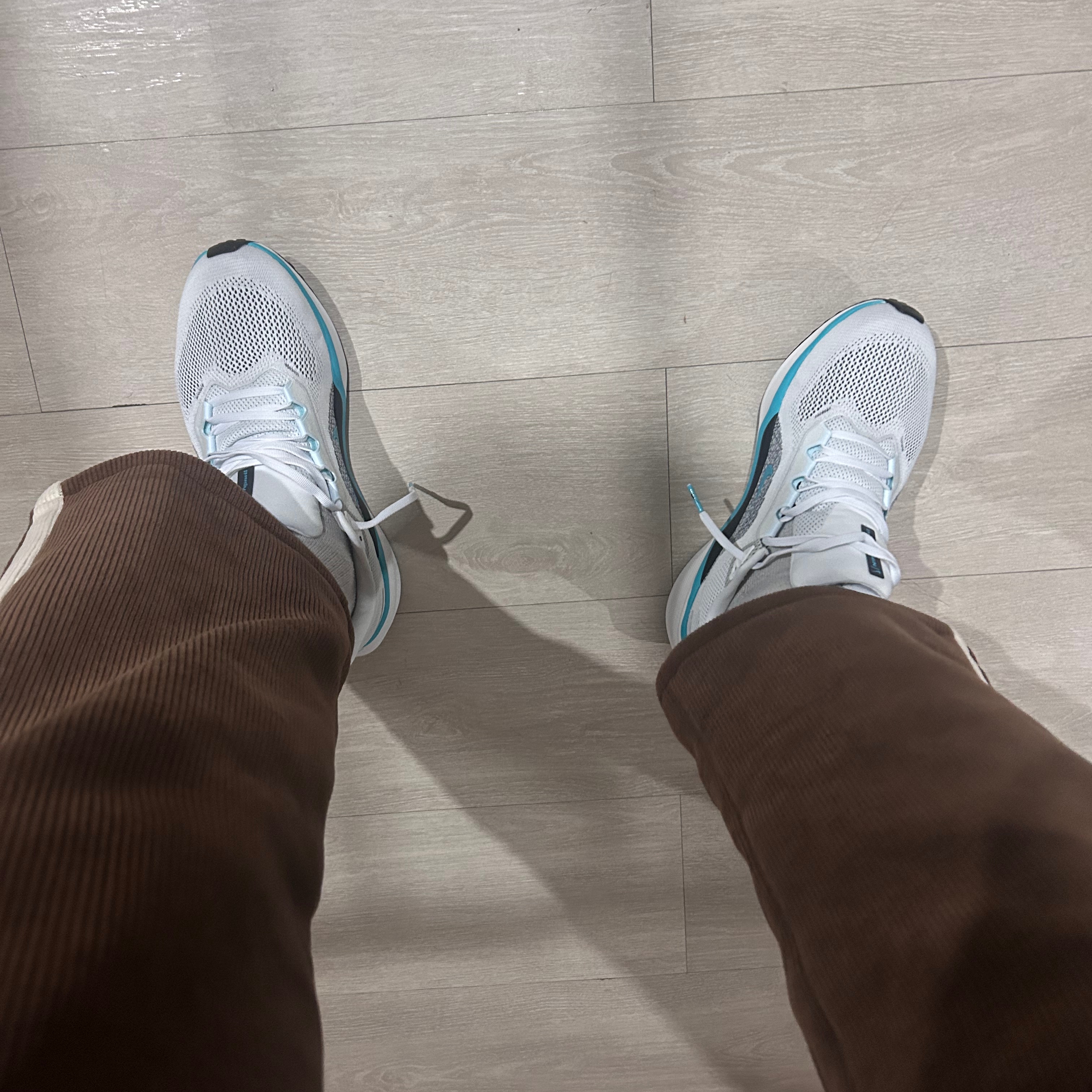 Nike Air Zoom Pegasus 41 White Dusty Cactus 착용 스타일