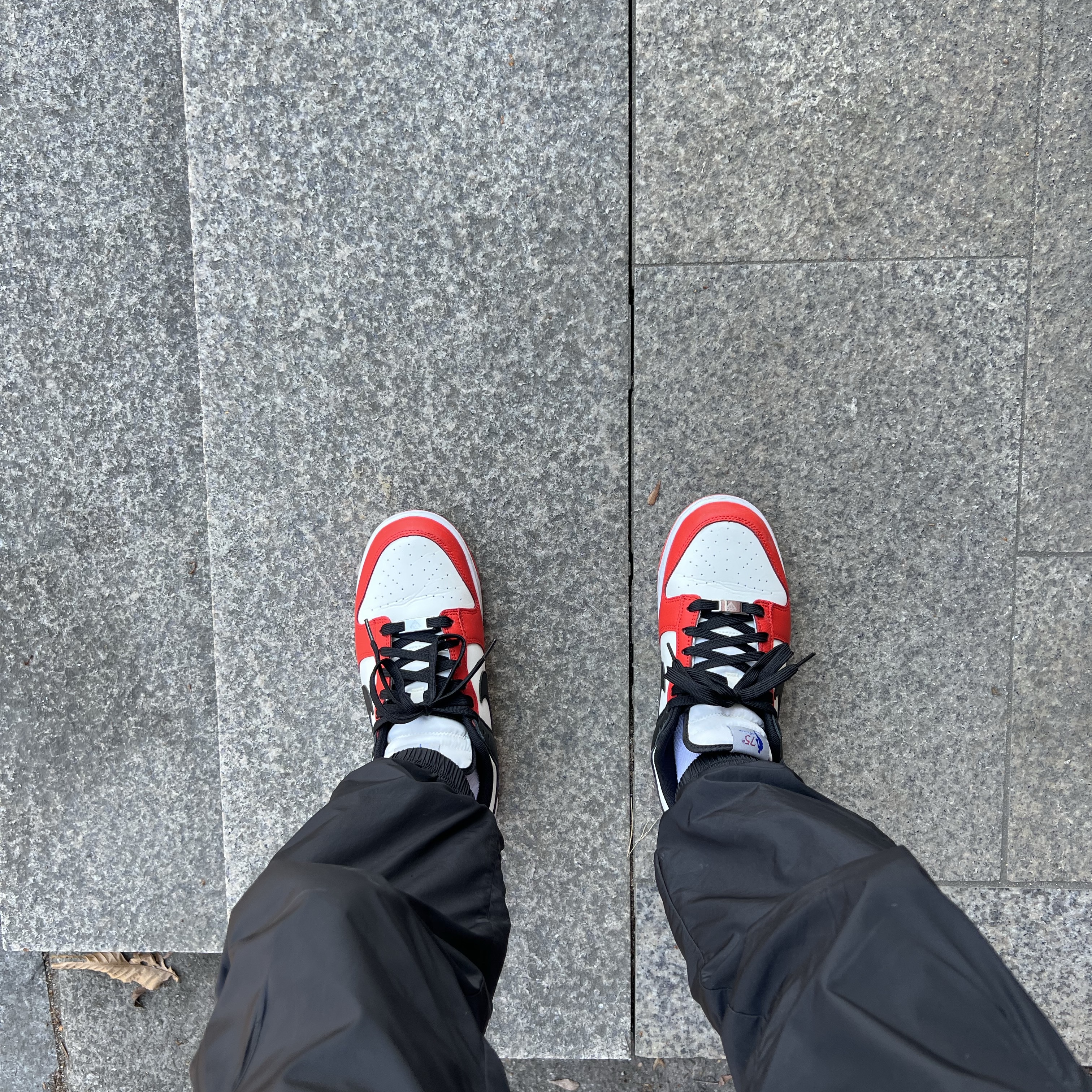 Nike x NBA Dunk Low Retro EMB Black and Chile Red 착용 스타일 - 1