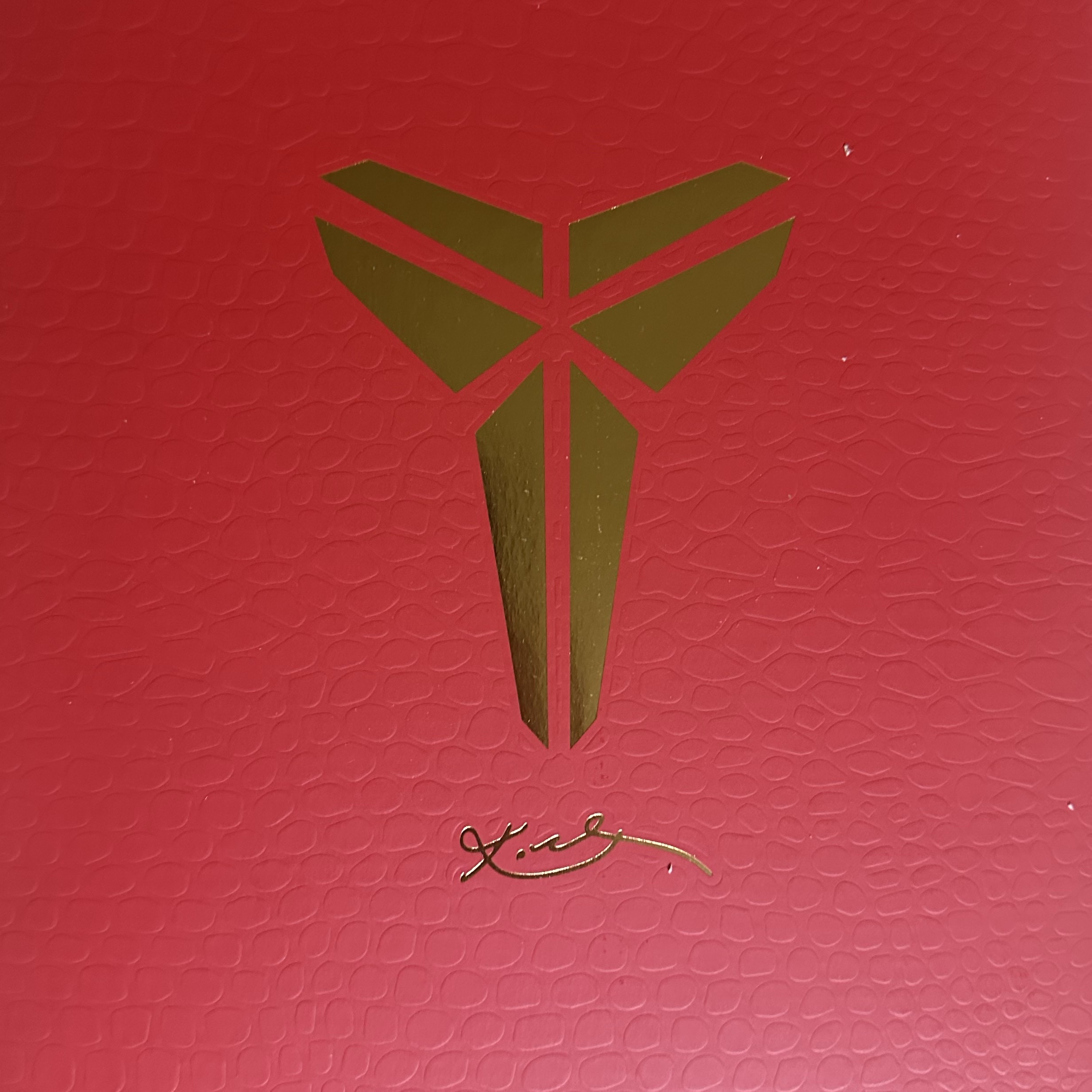 Nike Kobe 5 Protro Year of the Mamba Eggplant 착용 스타일 - 1
