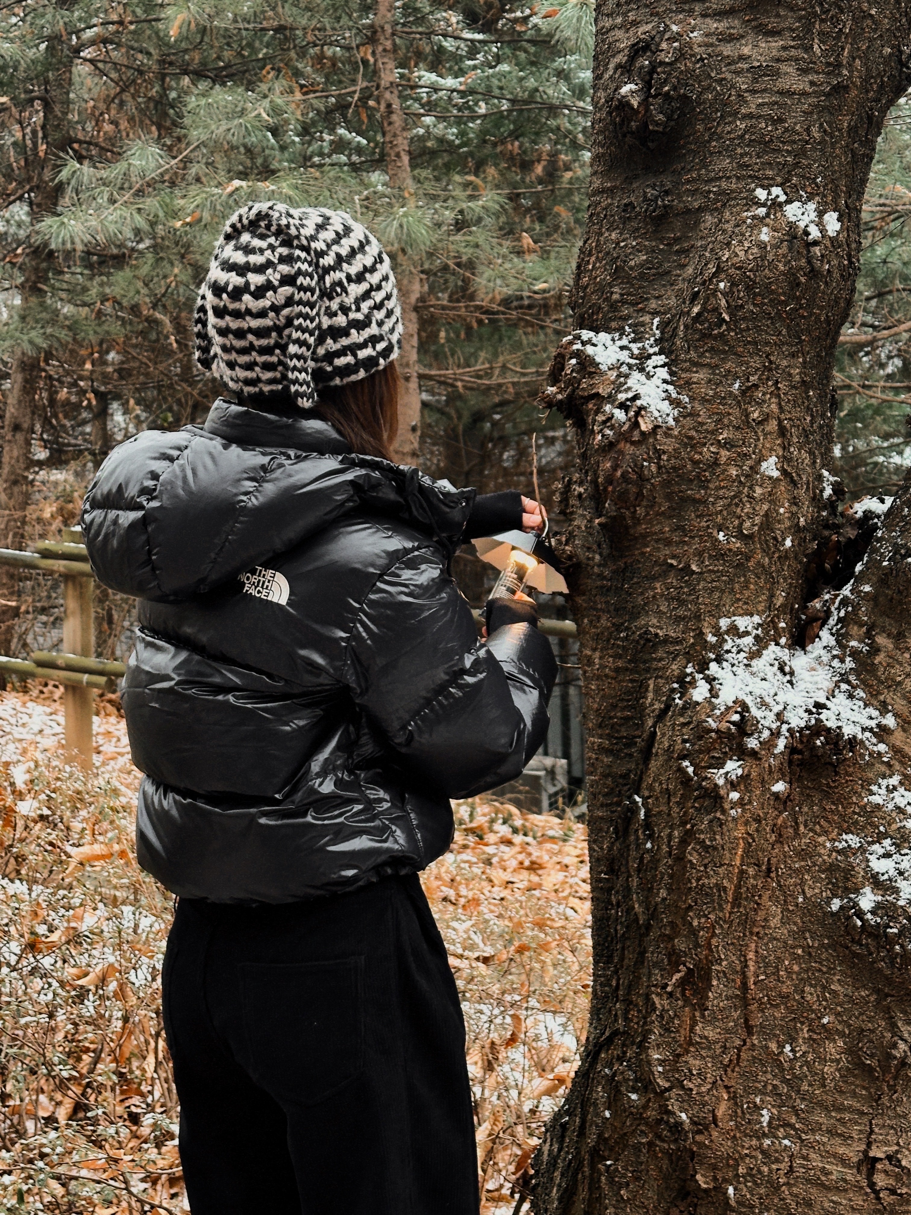 The North Face Sierra RDS Down Jacket Black - 24FW 착용 스타일 - 2