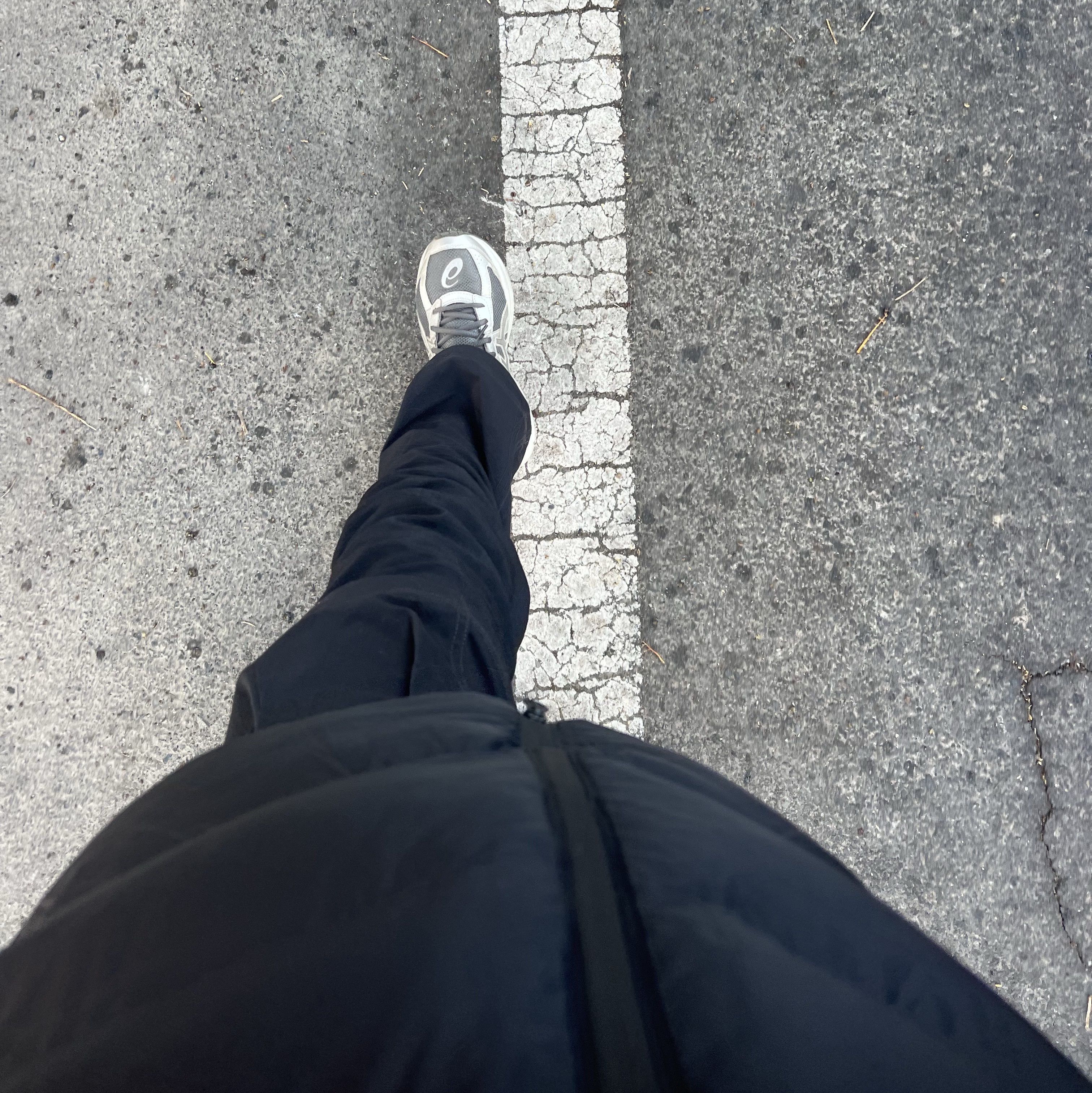 Asics Jog 100 S SMU Sheet Rock Pure Silver - 2E Wide, Nike ACG Smith Summit Cargo Pants Black - Asia 착용 스타일