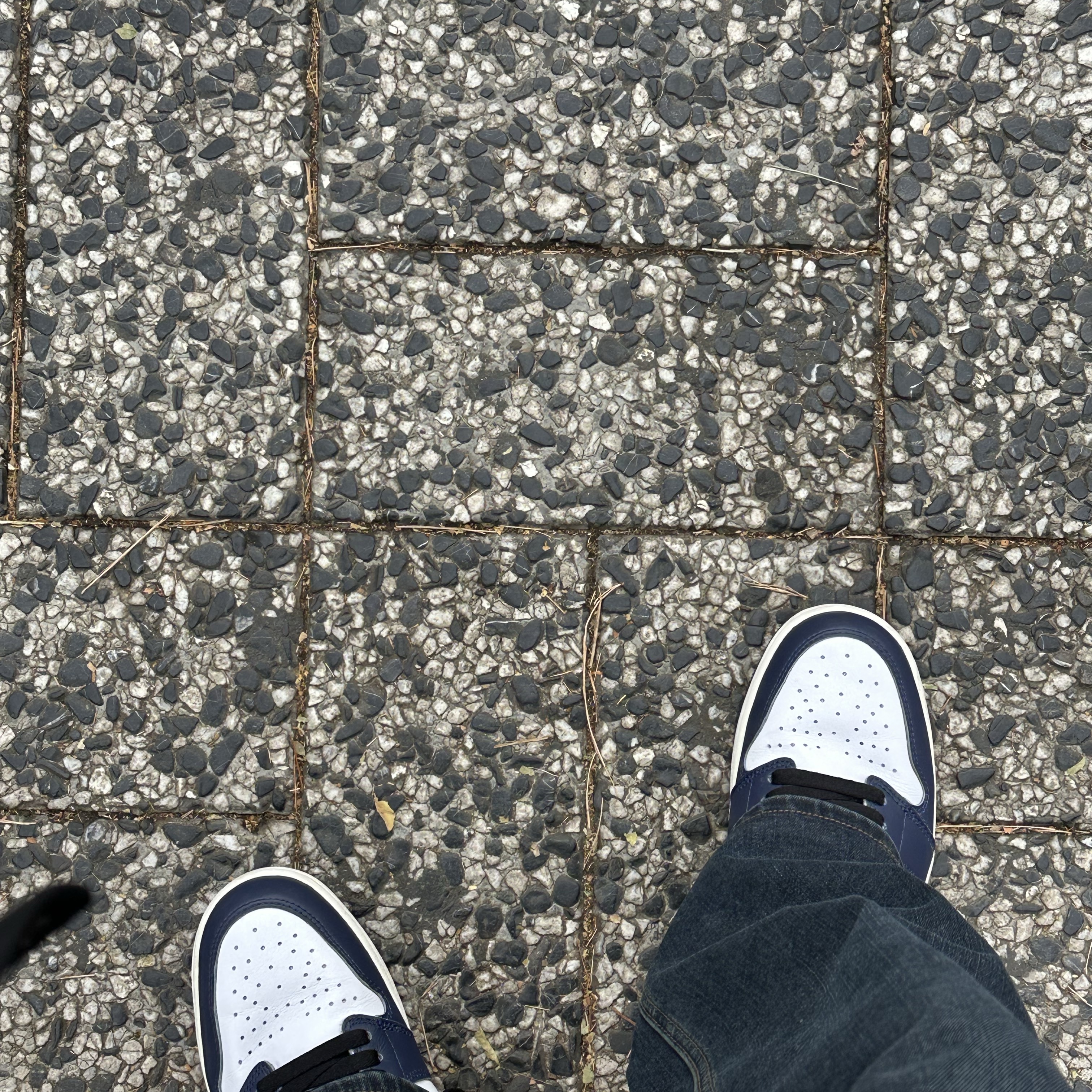 Jordan 1 Retro High OG Midnight Navy 착용 스타일 - 3