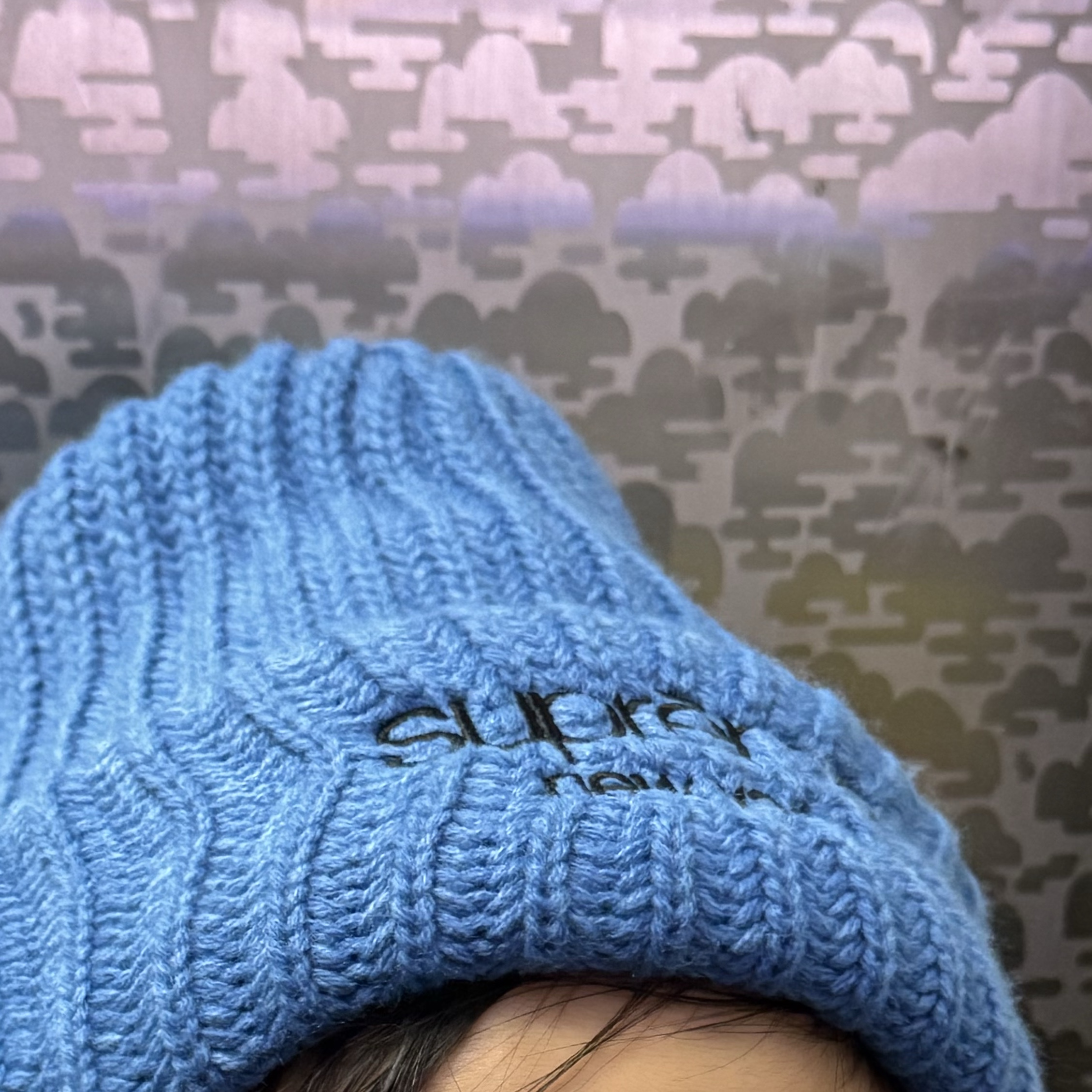 Supreme Classic Logo Chunky Ribbed Beanie Blue - 24FW 착용 스타일