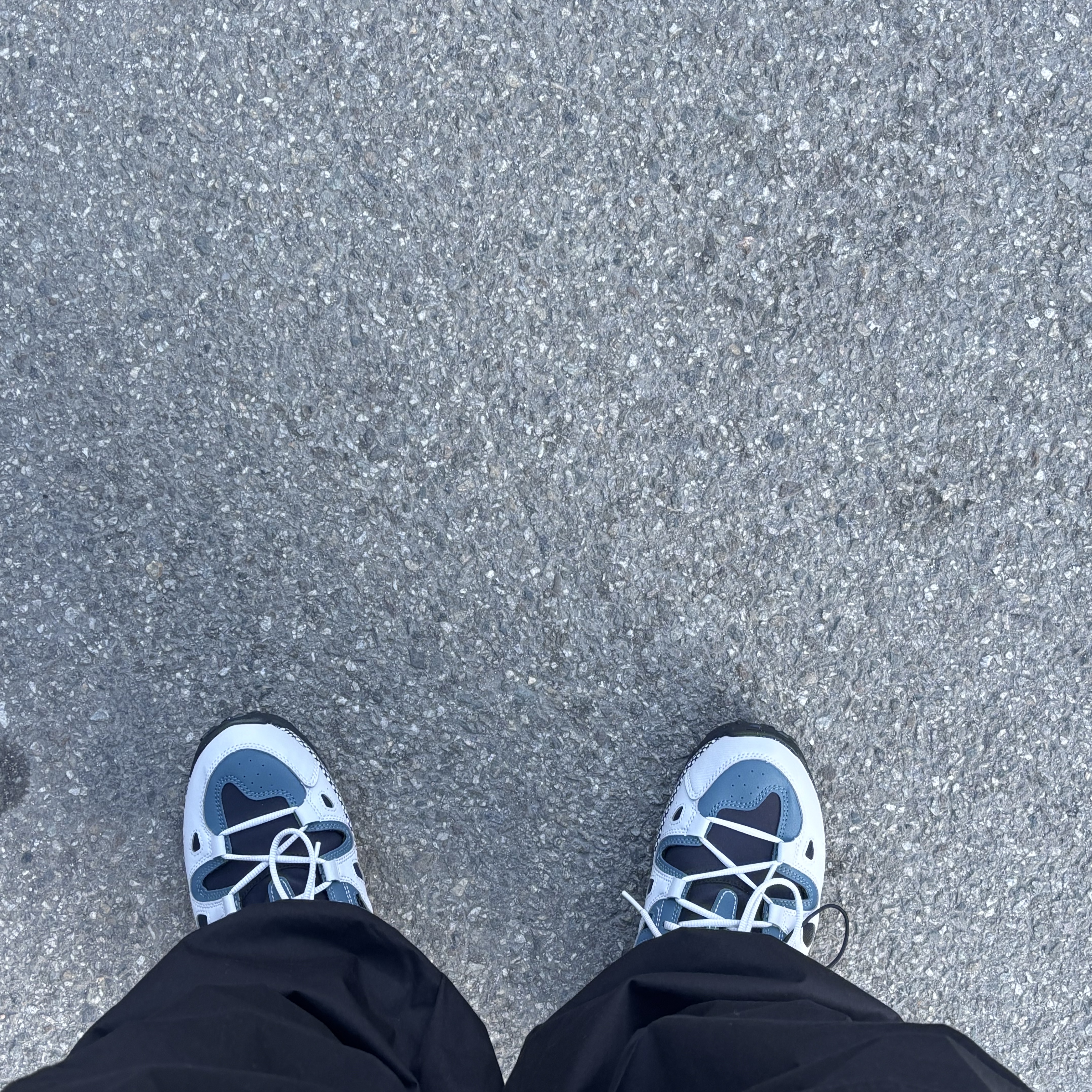 Nike ACG Air Exploraid Neutral Grey and Ash Green 착용 스타일
