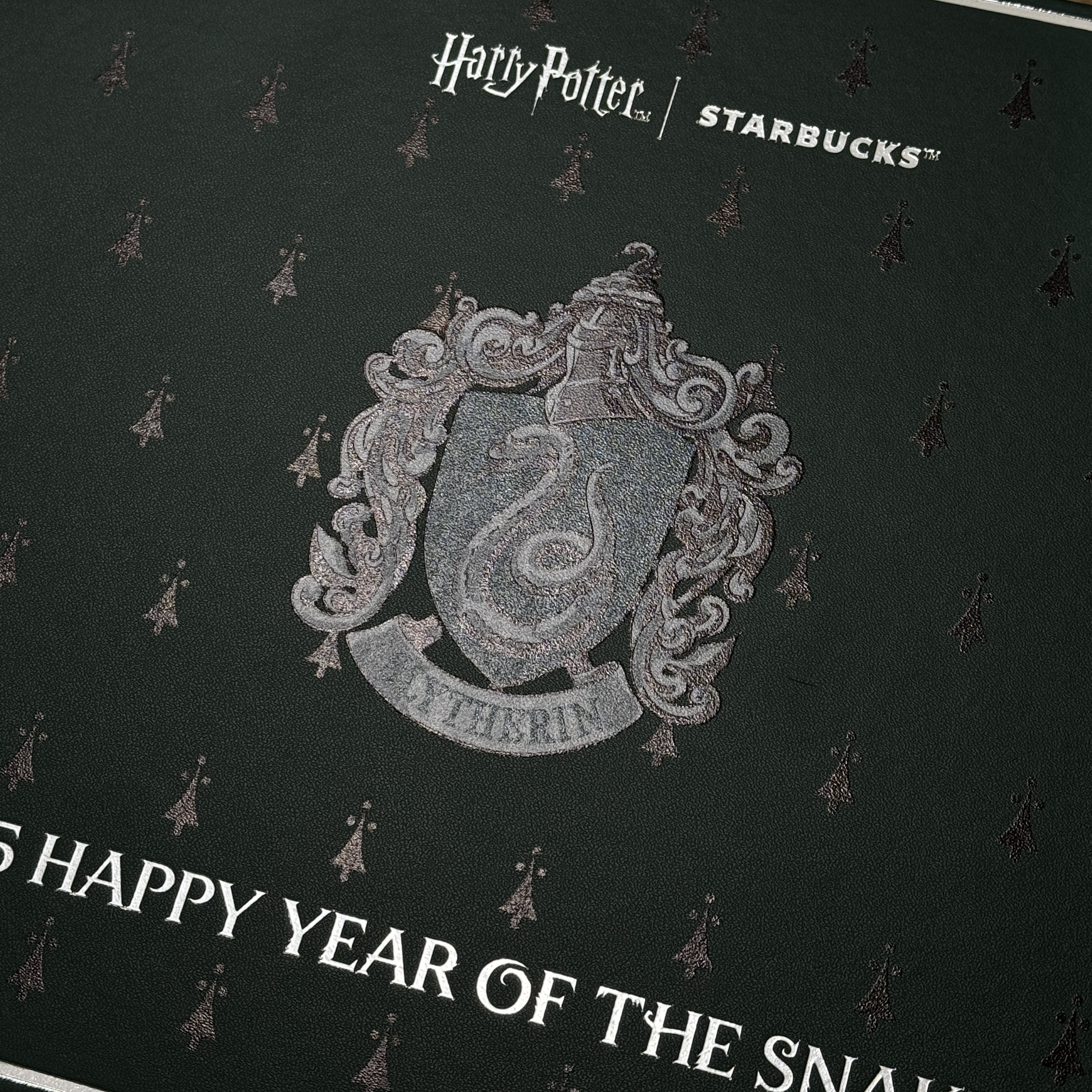 Starbucks x Harry Potter Limited Edition Slytherin (Set of 5), Starbucks x Harry Potter SS Slytherin Elma Tumbler 473ml 착용 스타일 - 2